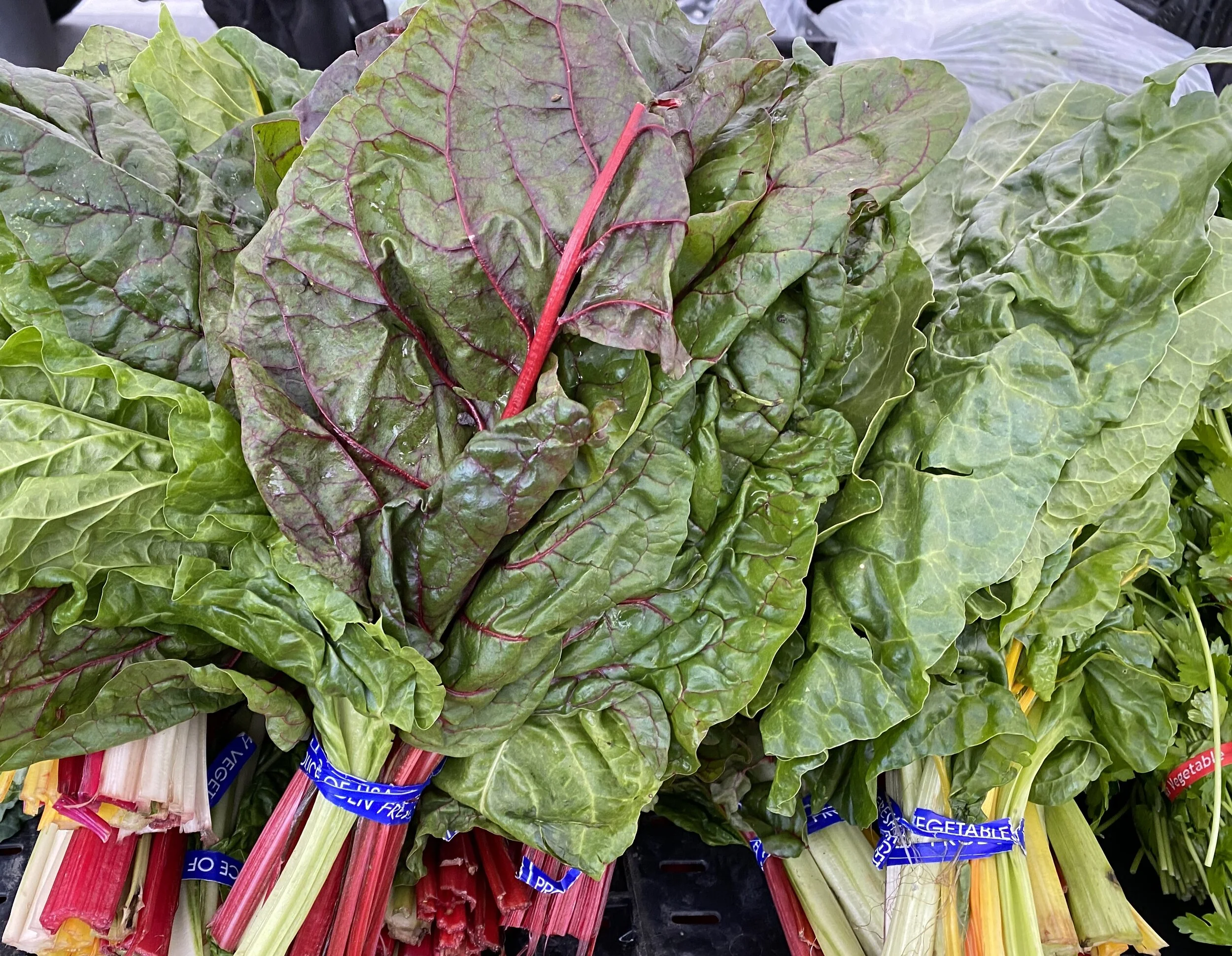 10C6C847-DD38-49A7-AE23-F84B71D97263