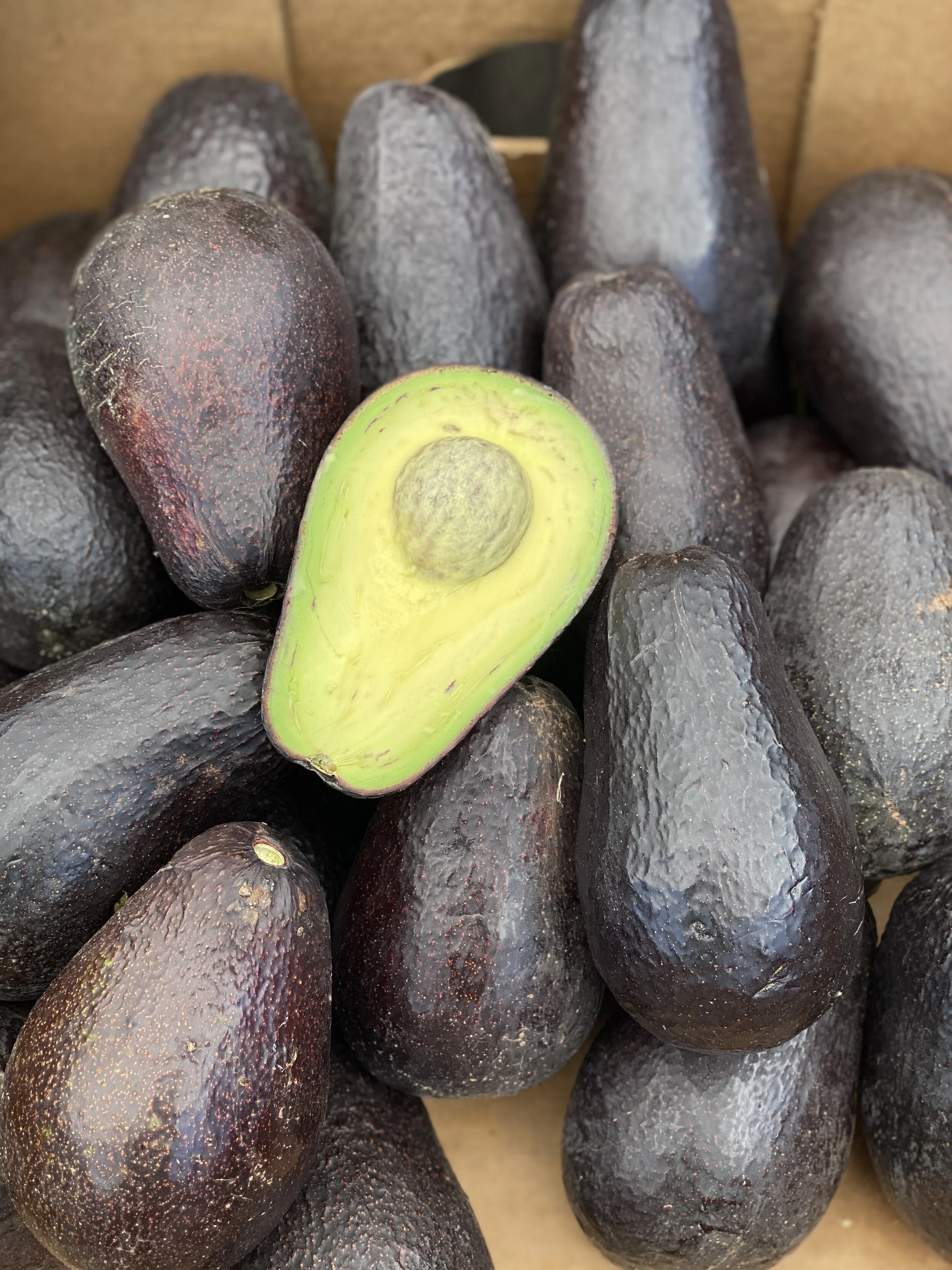 9163CB11-7A91-4108-ADEC-9815B3AE89A7