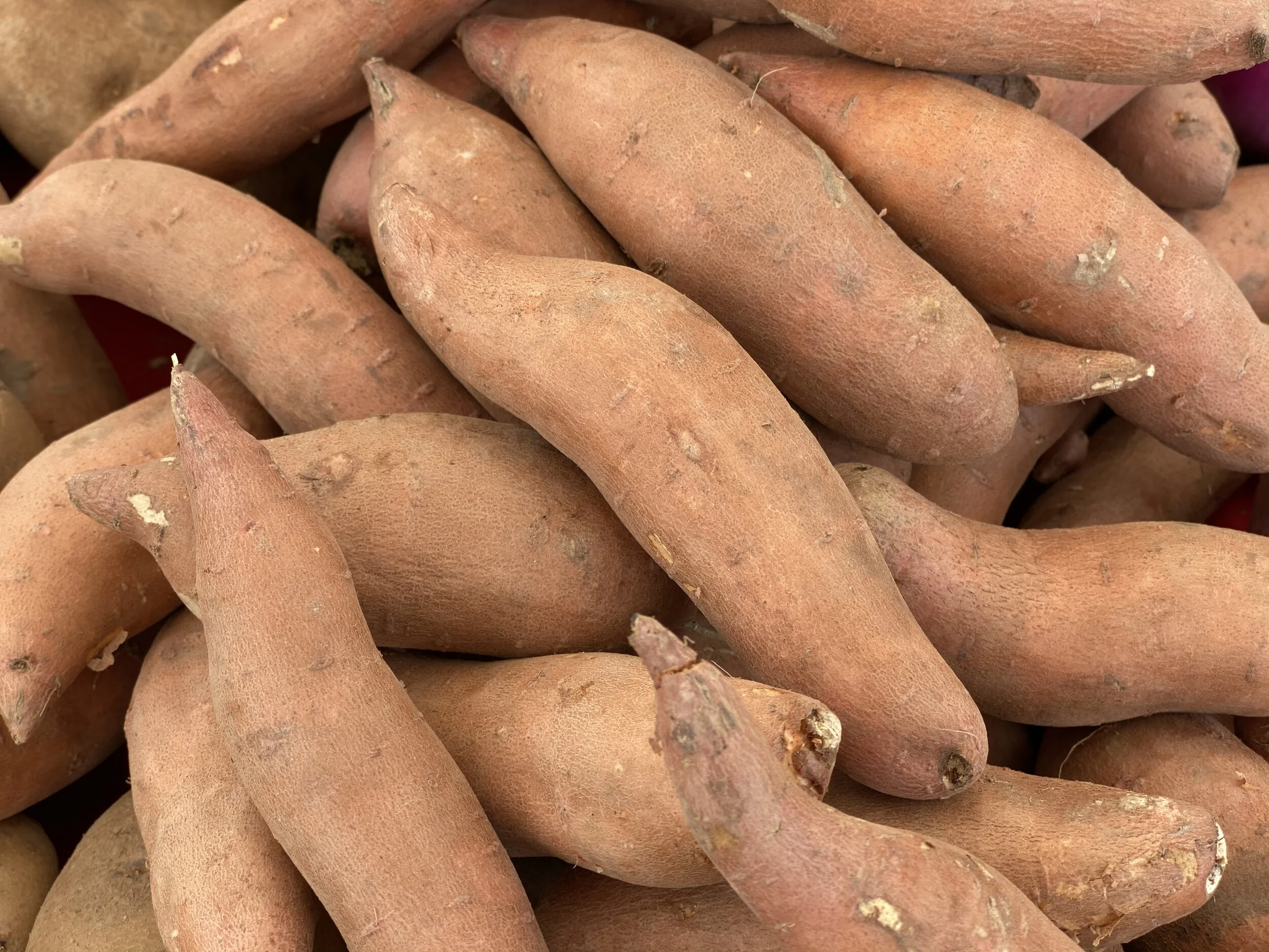 D28E6186-0297-4E57-A0BD-08D48B3EACB2