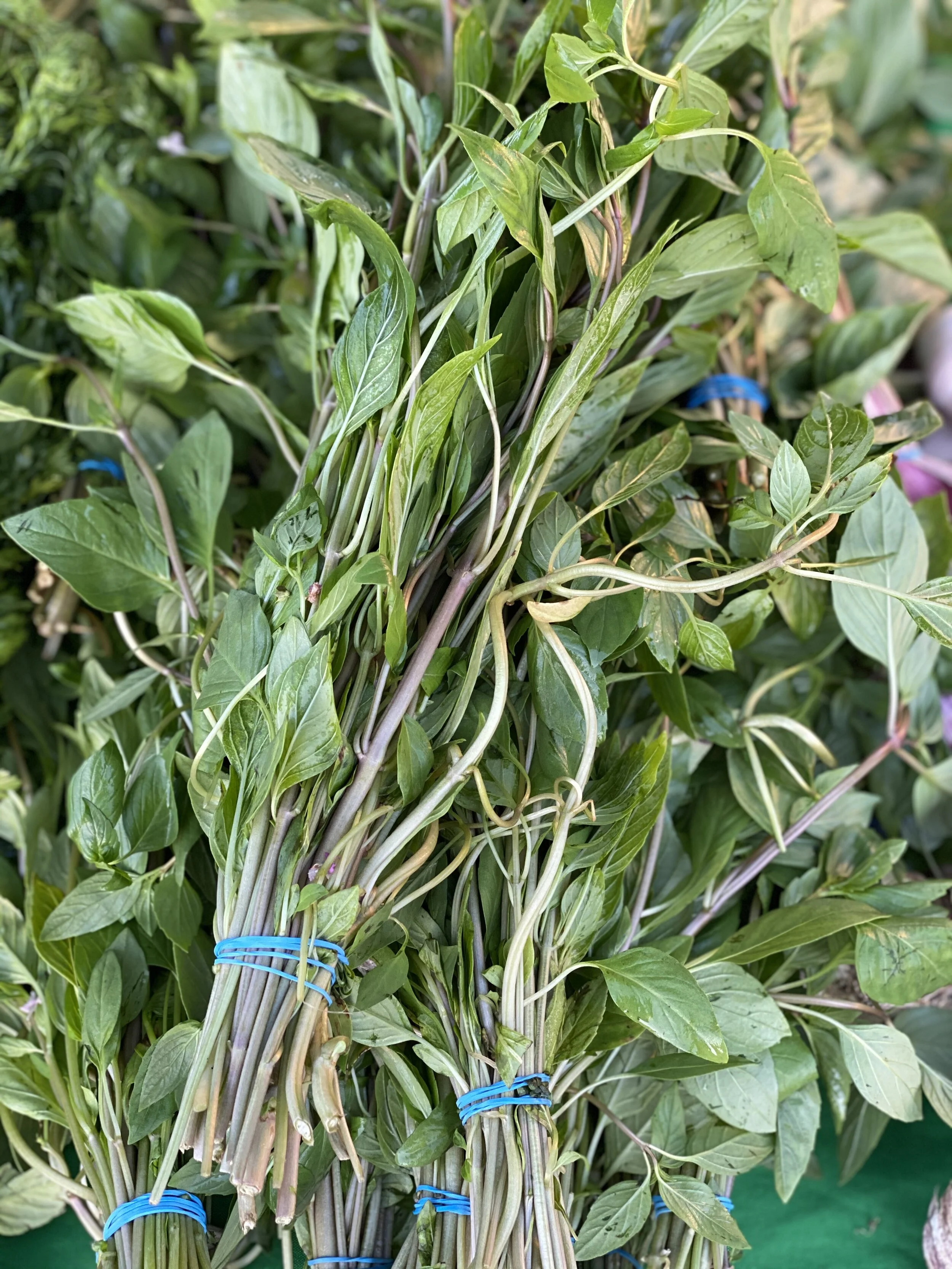 2A6F8A20-C39E-4E47-9C78-F36E6E028E77