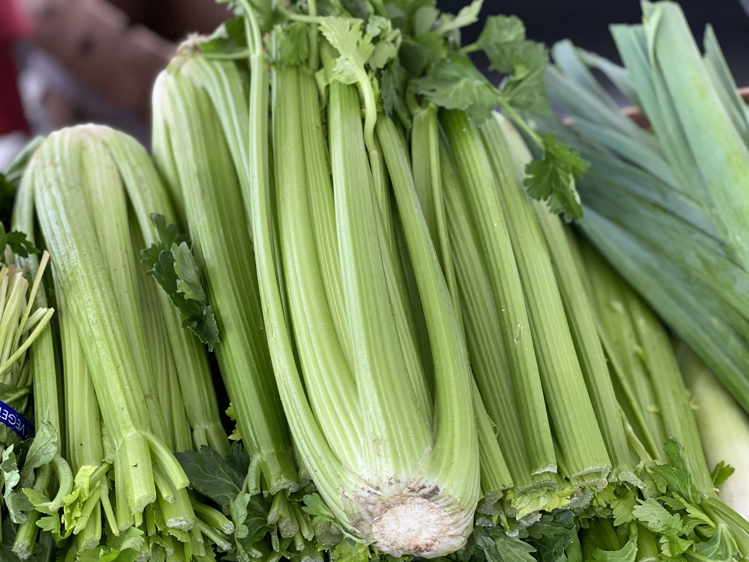 2E23B09F-9F63-44A4-A9C4-E8CAC2F935B9