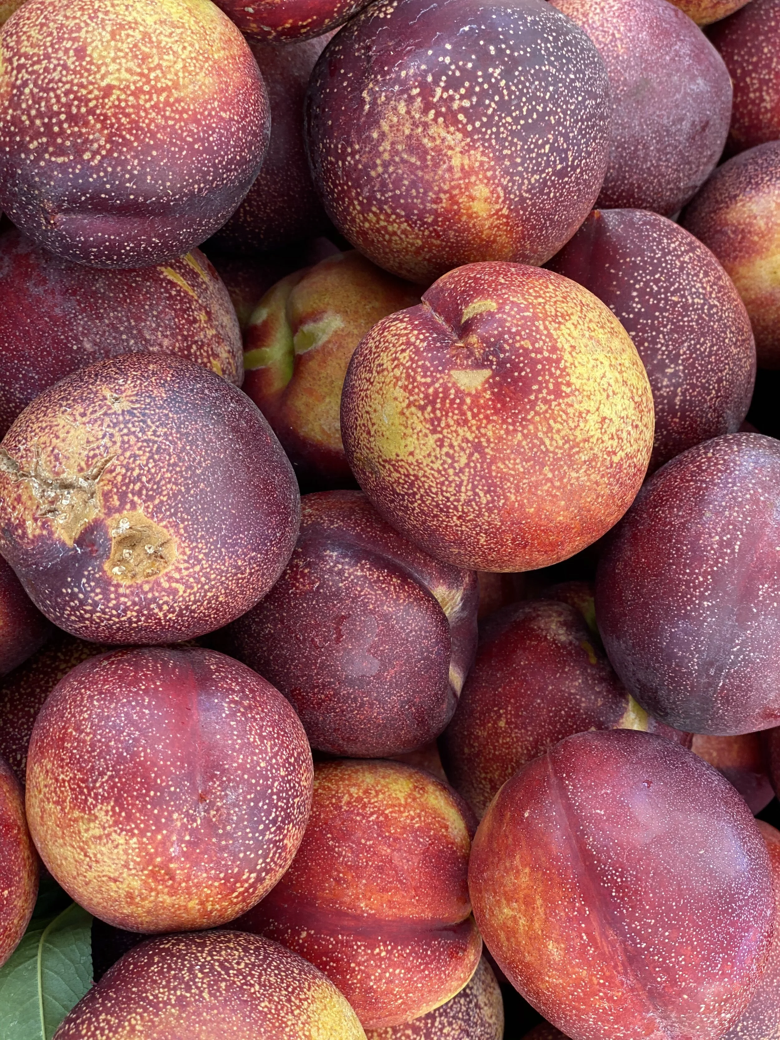 EF84D9F5-948B-49EC-A2DE-A427076F5787