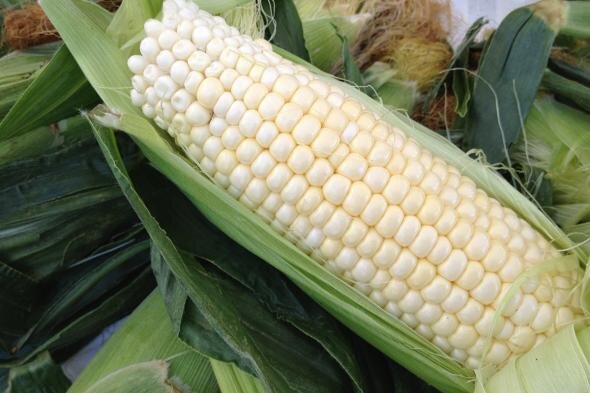 7C0FCB24-85D9-44FD-A11D-359BE033A106