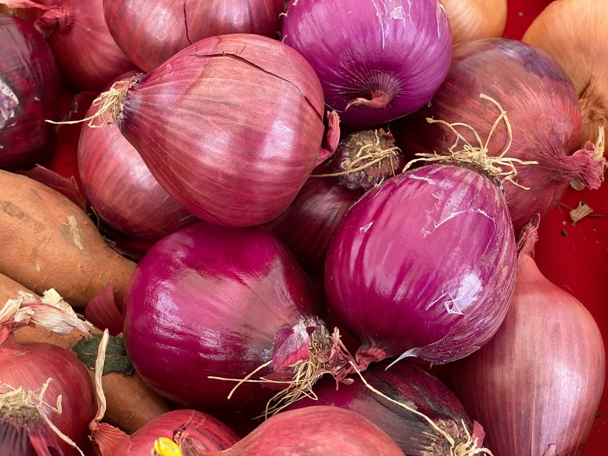 12B8359F-9CF8-4B4C-82A7-B5092F3D8C20