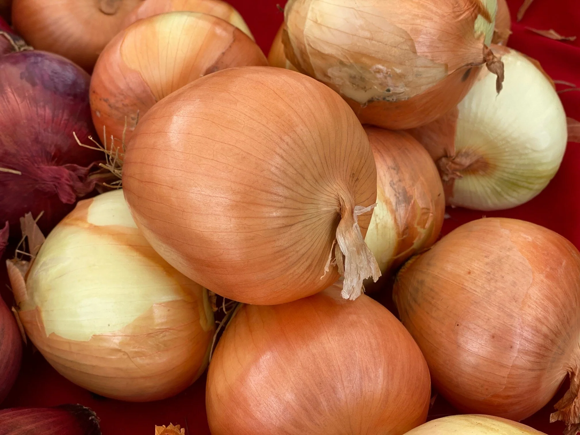 76C597A6-B5CF-4A28-B338-CDFEC65DBD6E