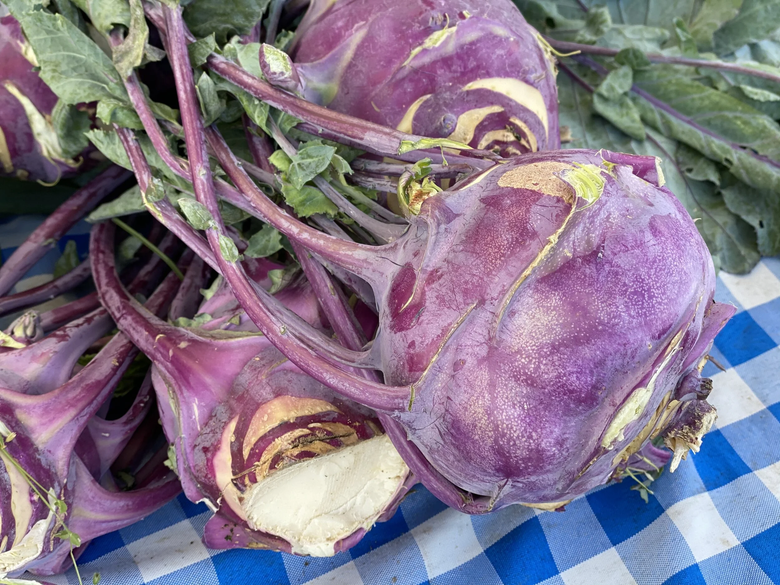 FEC26E49-42A9-474E-821D-1AE01C3ED444