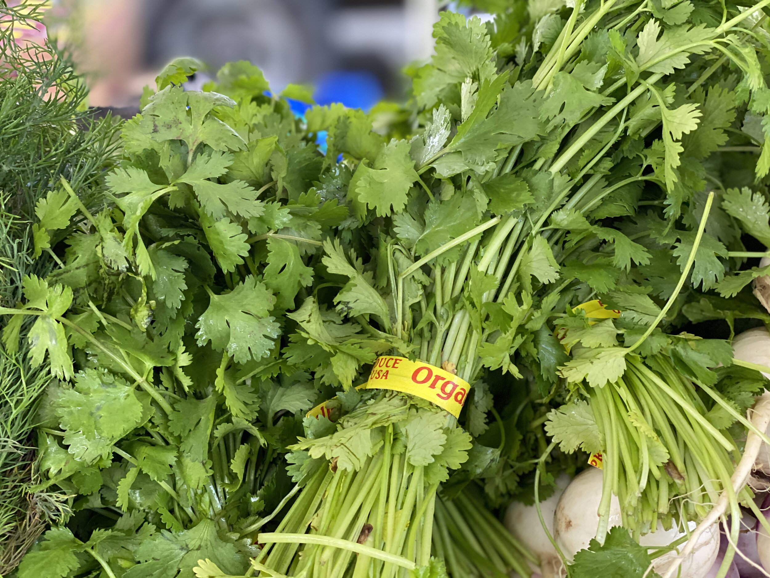 85D16939-9EC0-4CC0-87B2-483CB443312B