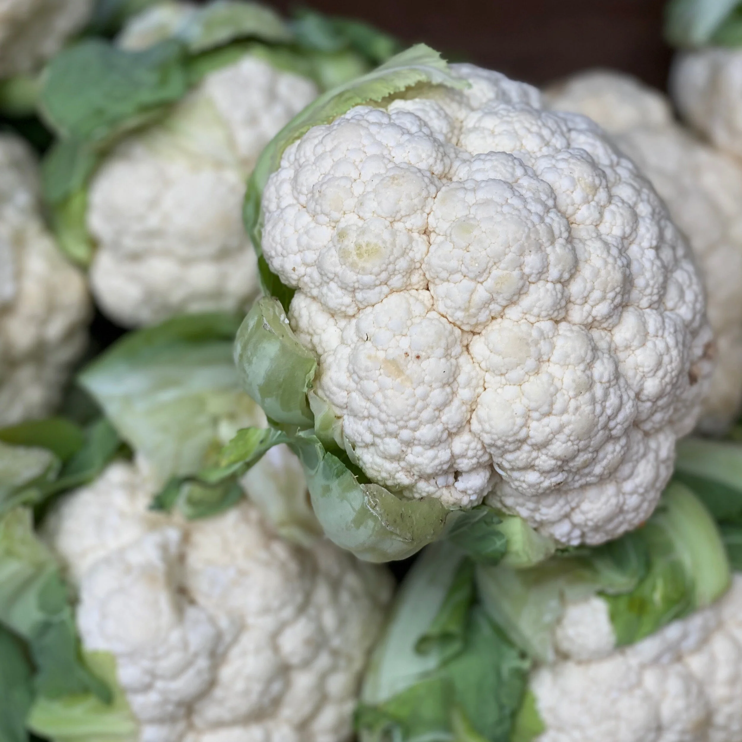 cauliflower.JPG
