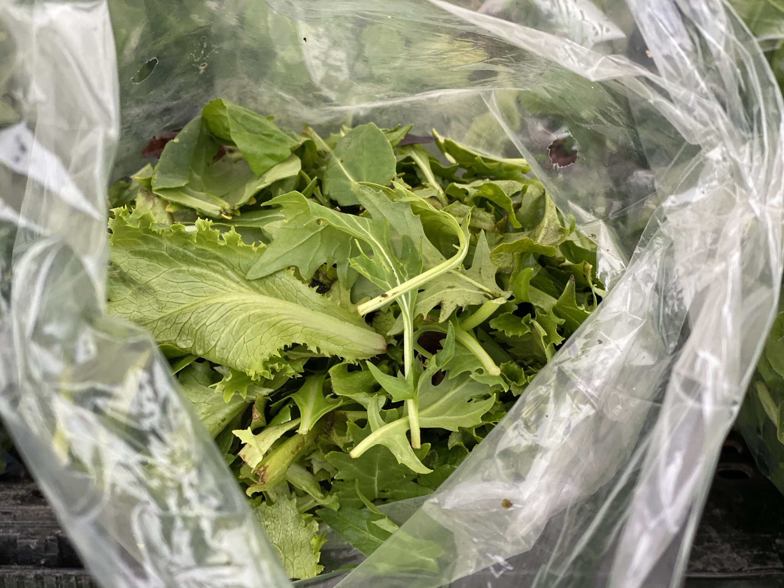 4BCCA0C2-7EAE-432D-B481-4A138A4BBD6A