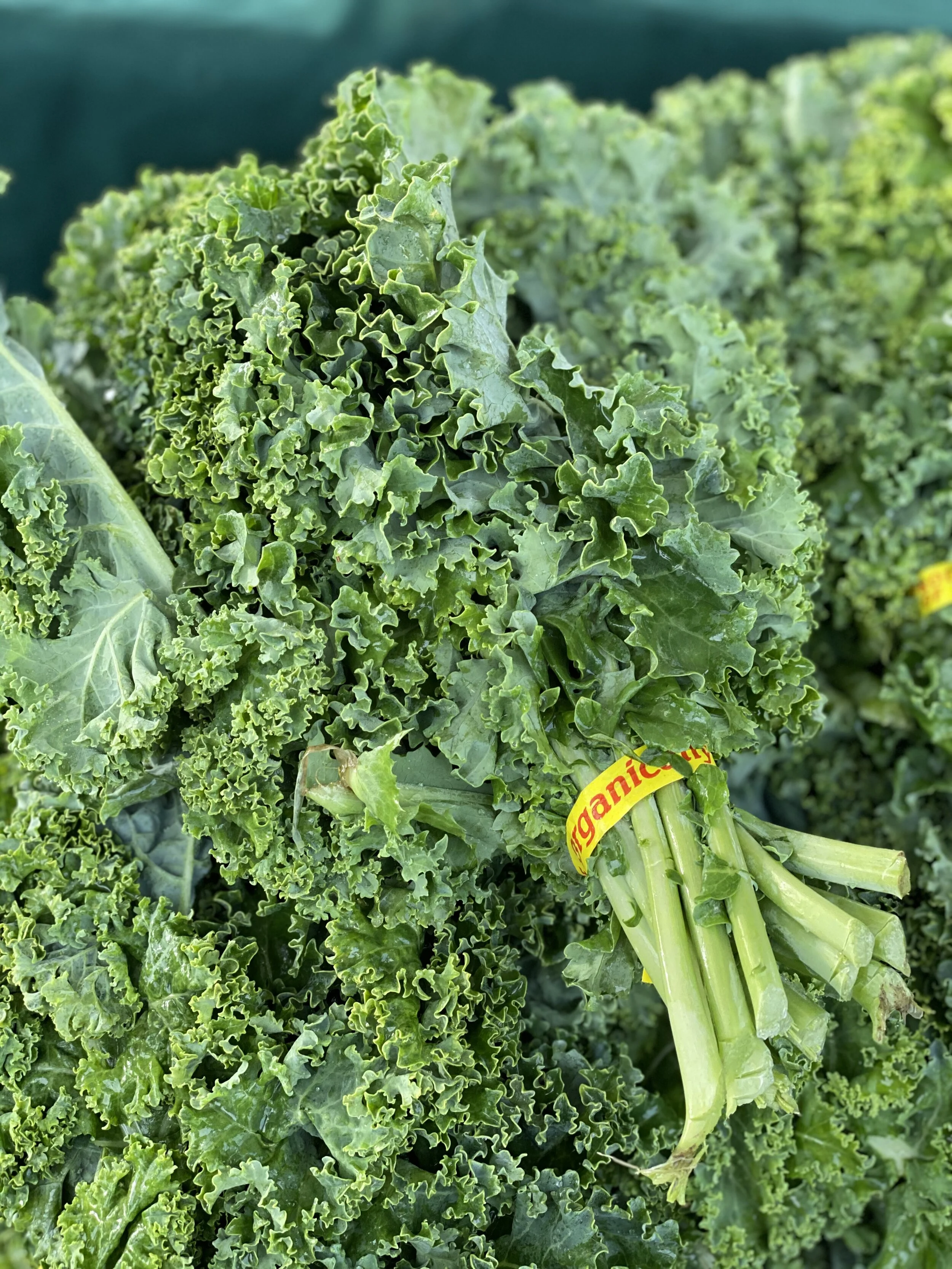 44CEB7FF-13BF-413F-833A-67AB4A6B5C2B