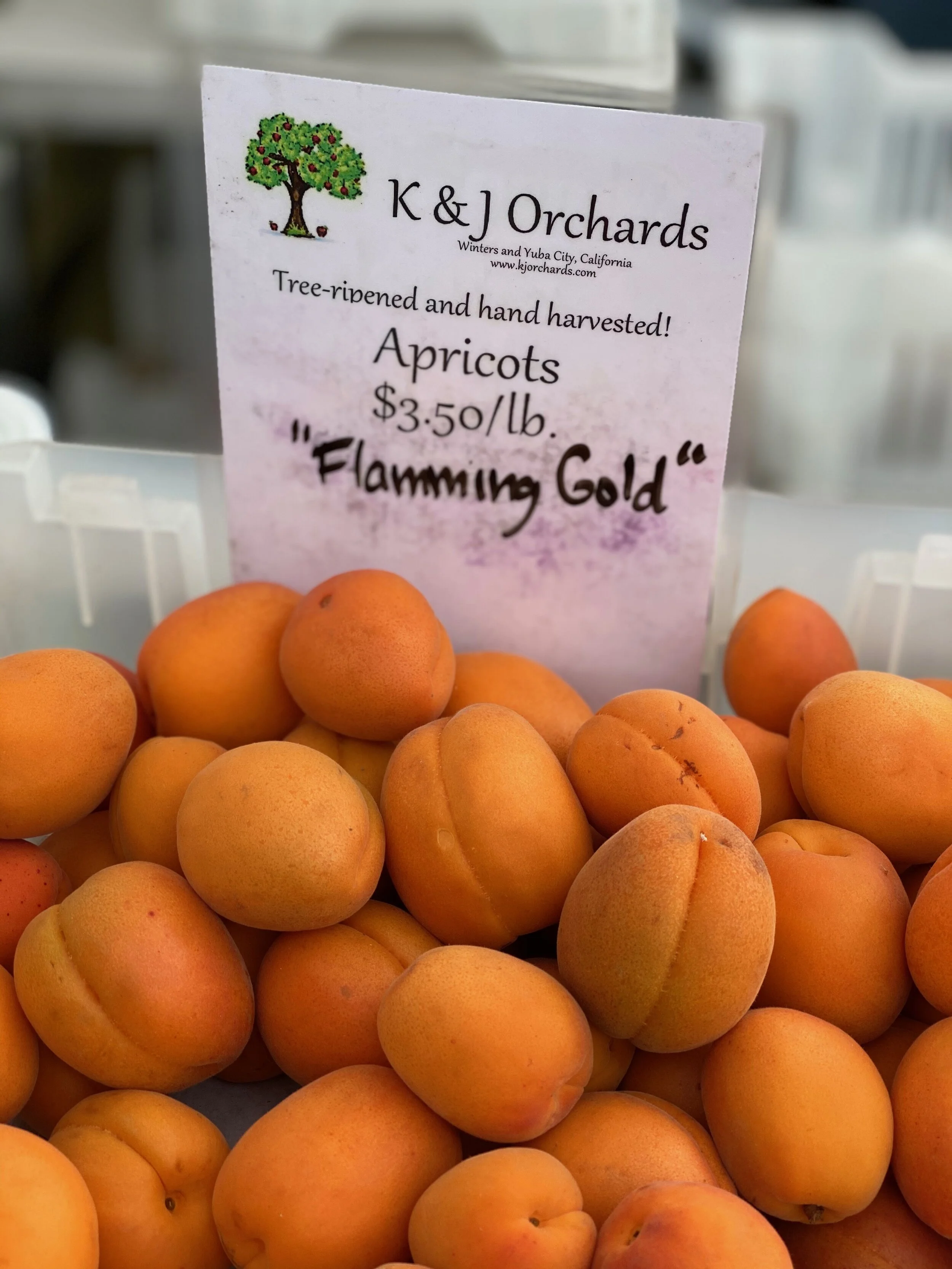 183CE043-F136-41E5-8A38-4F668EA2FE96