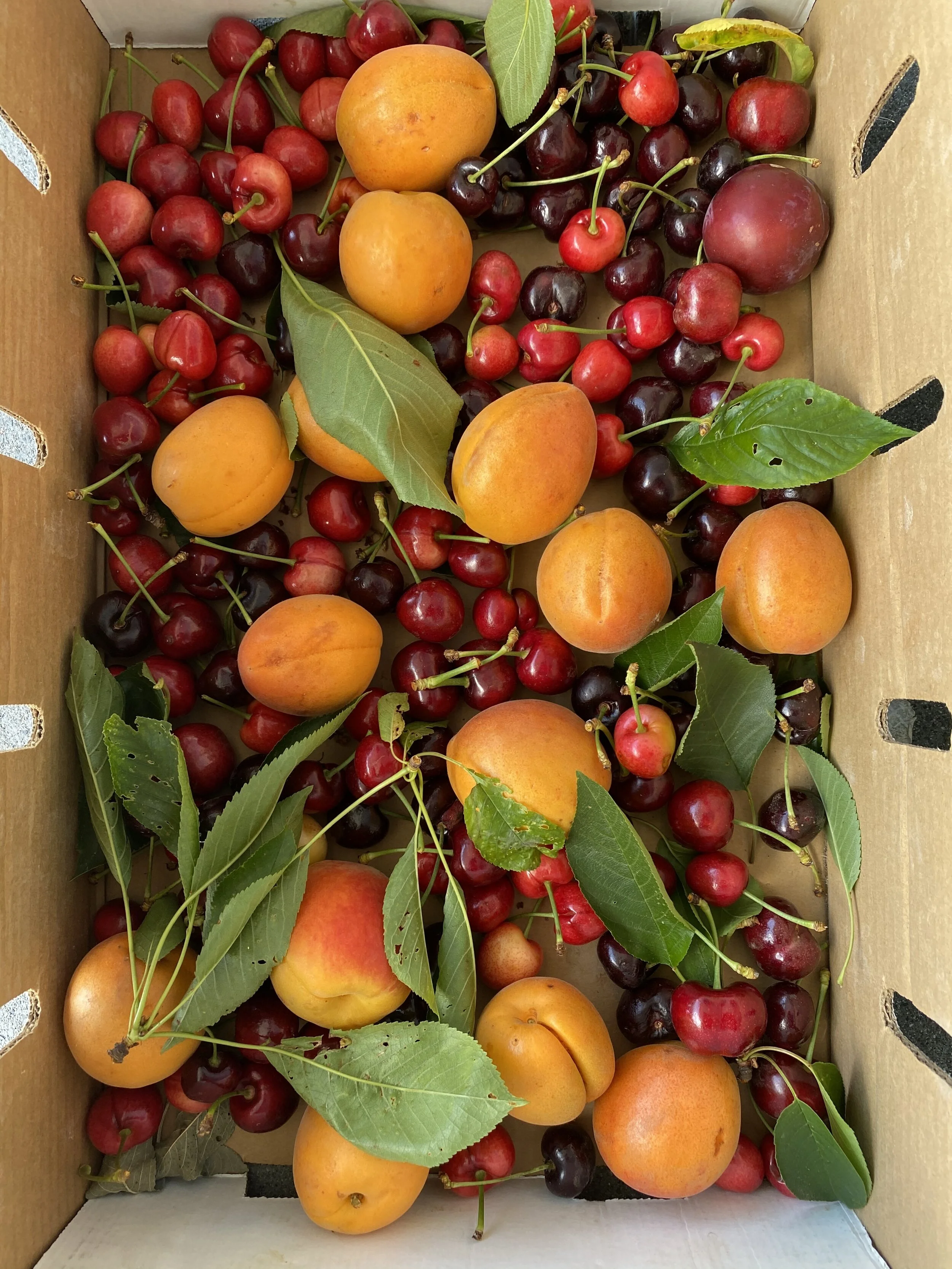 7B380470-0DE4-4B92-B92E-BA9ED53C9D4B