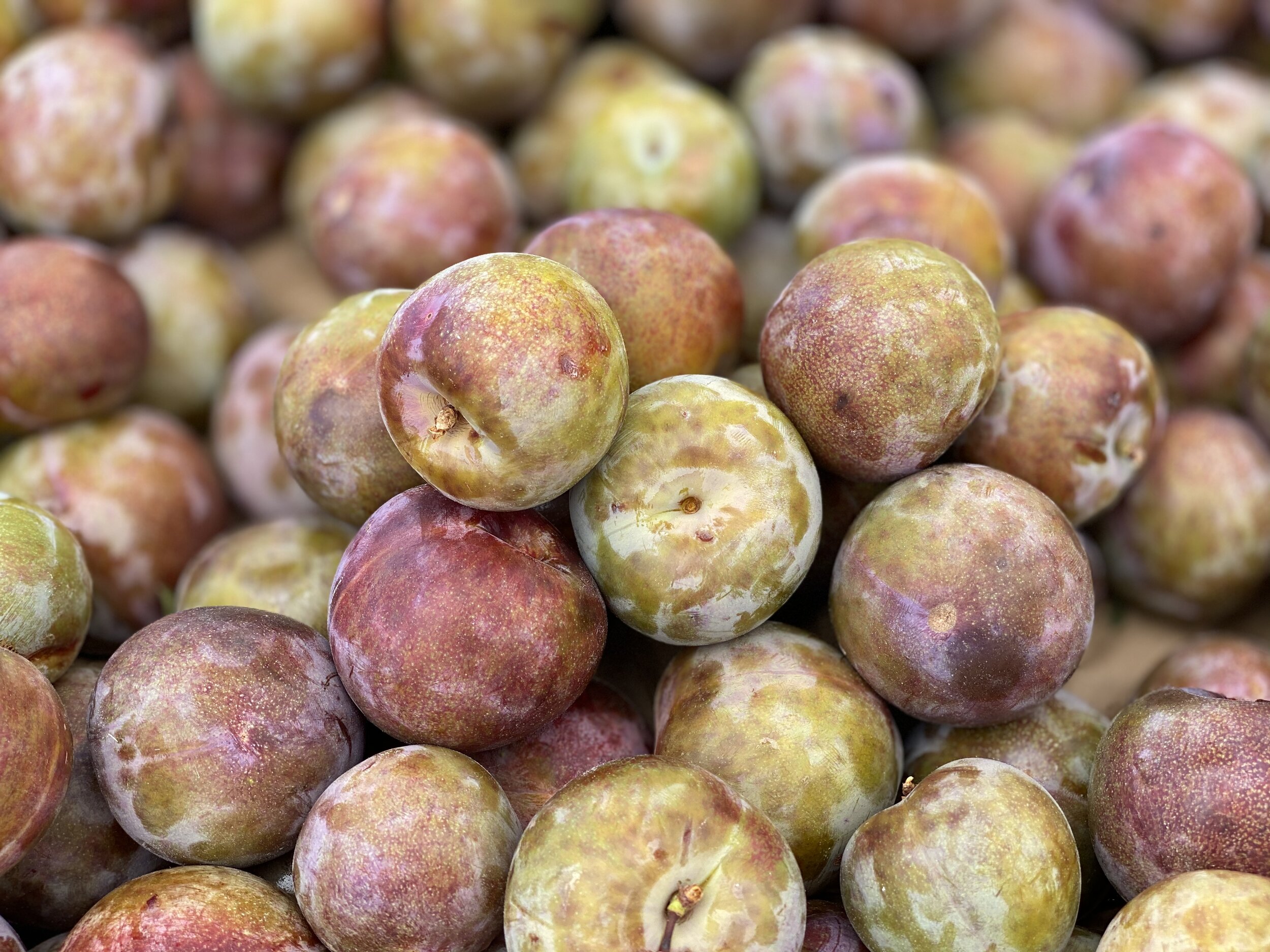 D602F8D1-1577-4E15-9F5D-A568182151CE