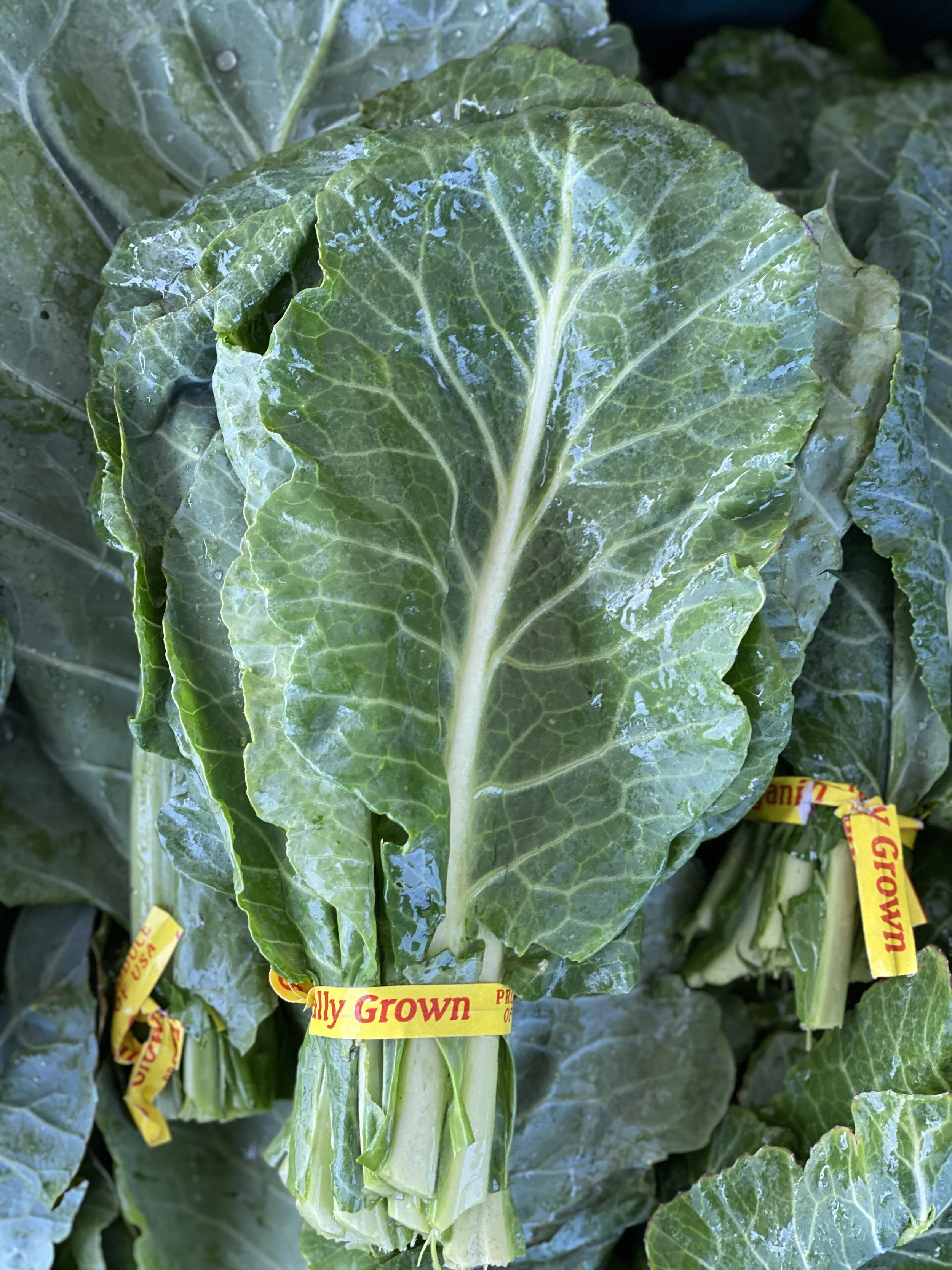 A84E3DC0-F927-4716-A1B9-D61FAC9529CC