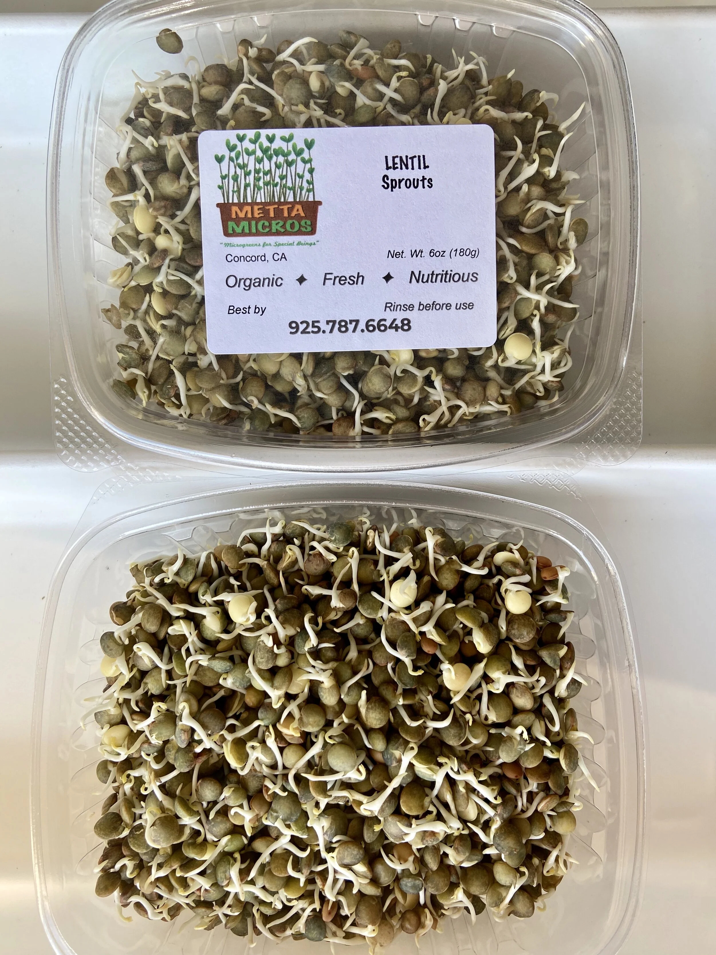 3AB6C868-3282-4ECE-AAFC-8301835F8124