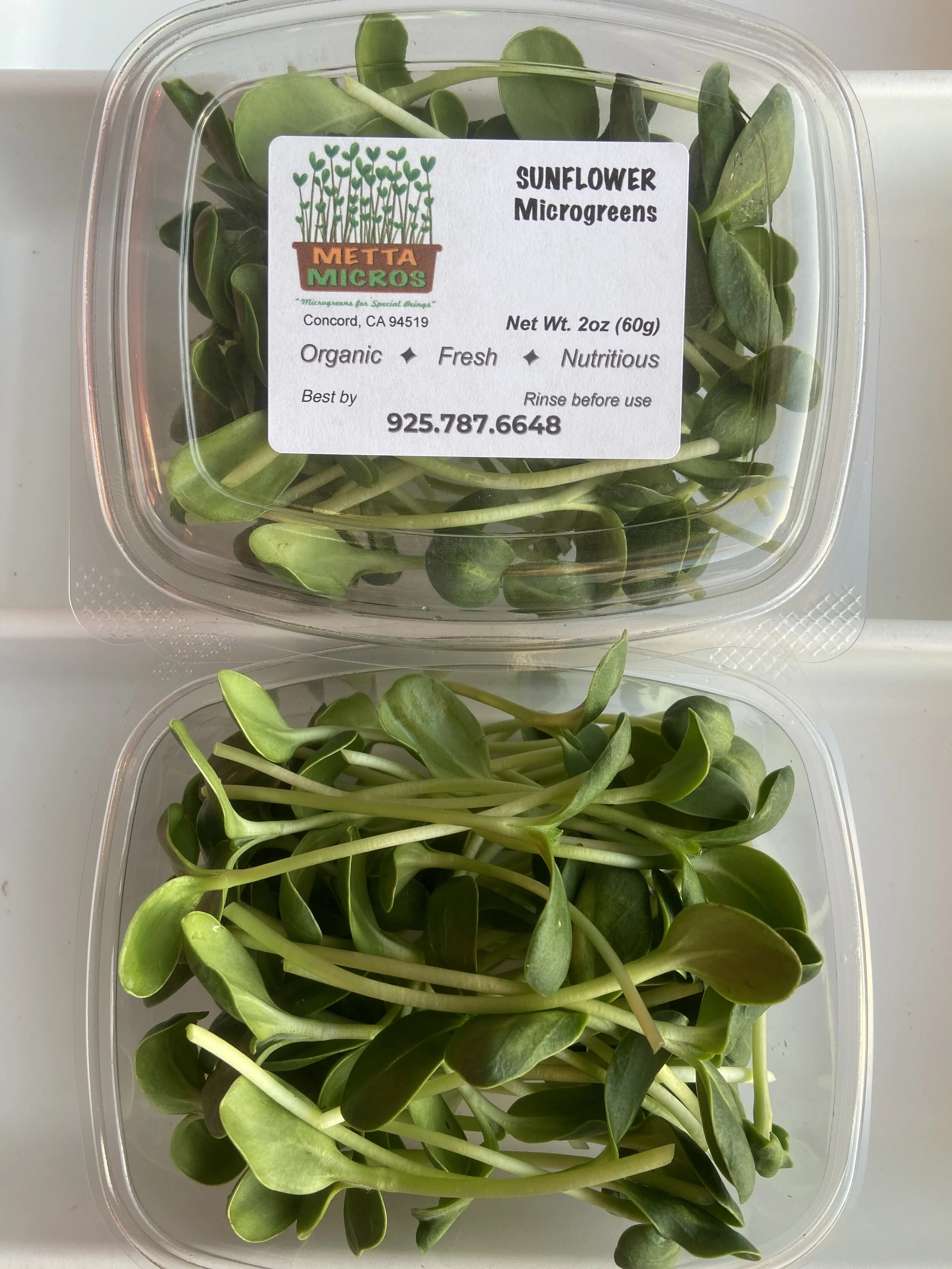 80E2B59C-176E-4AD2-B50F-A9F183F0167E