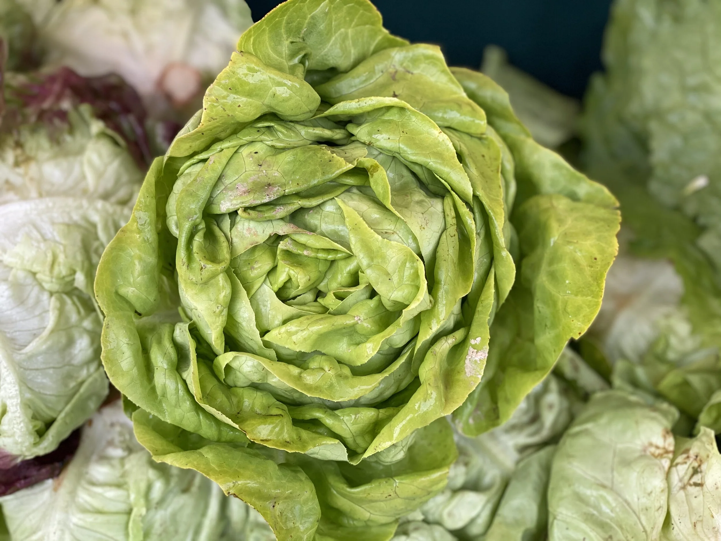 96377770-6FD9-41DB-A773-2C5850F3F643