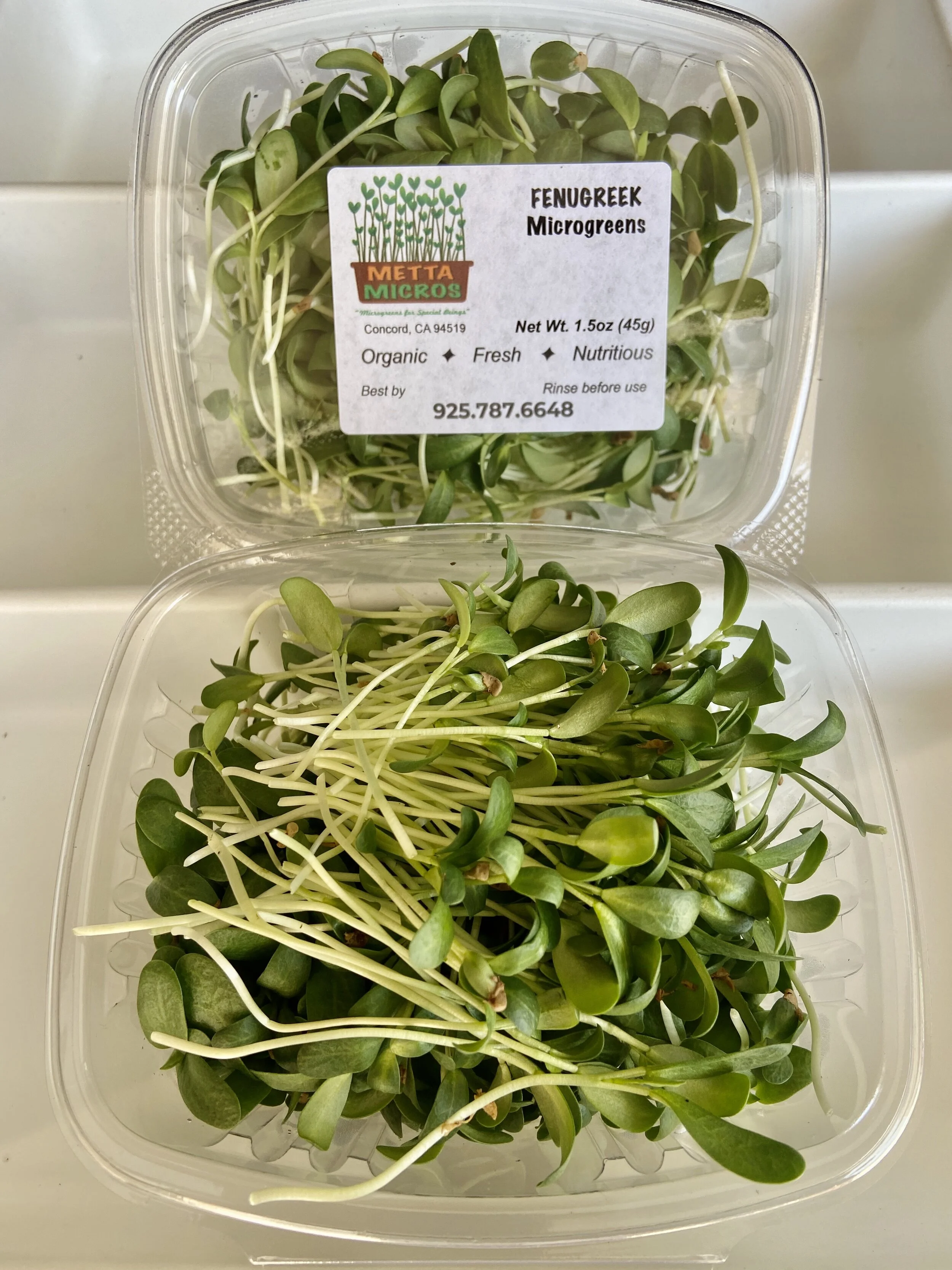 BEAF82BE-9A16-4E80-8FC2-5895FD5A1452