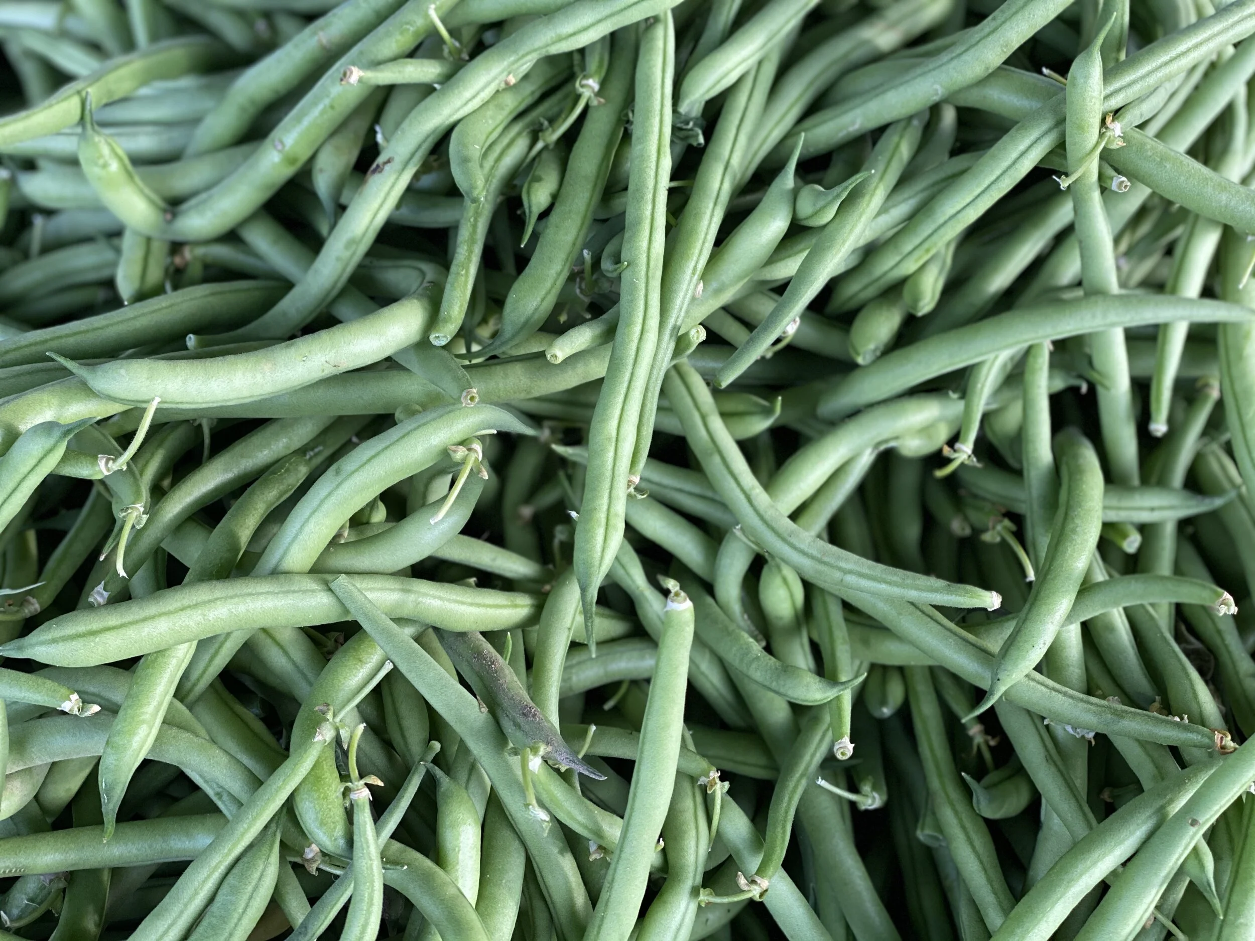 2D4C6D23-7F59-48E1-9024-FE68C6679880