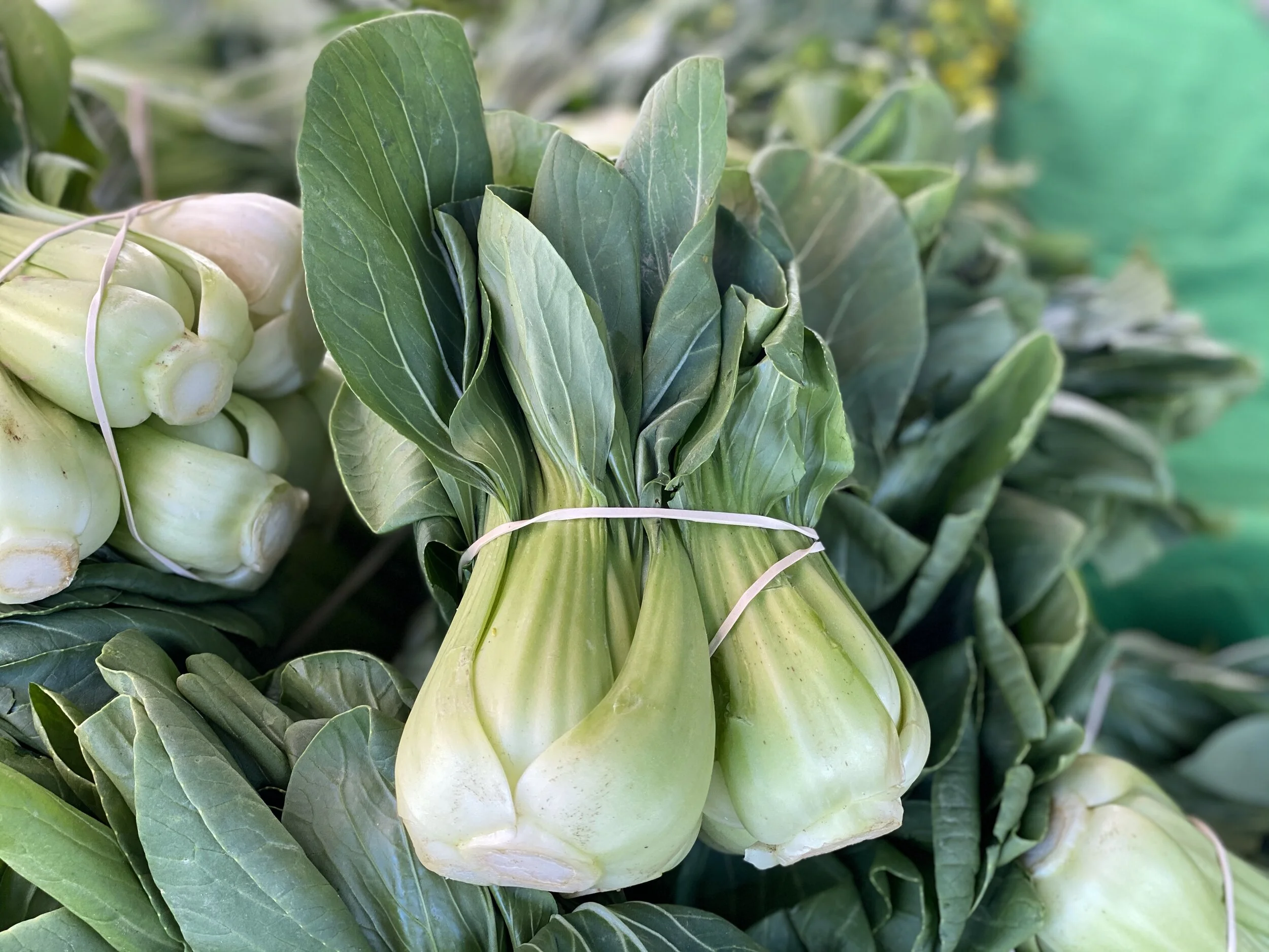 4F7E2425-2F83-4C38-860C-0CAFD353B239