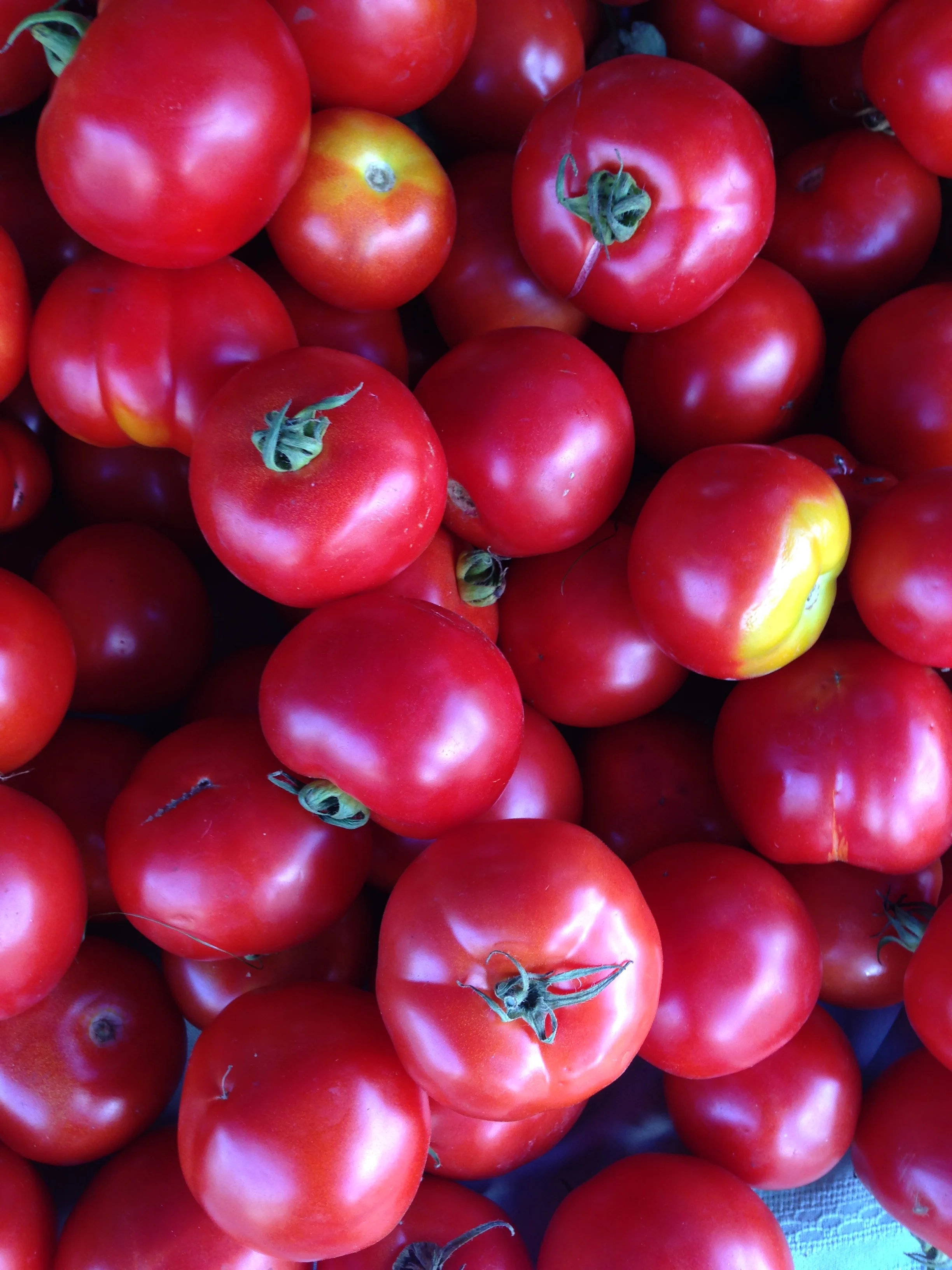 Copy of IMG_9371.JPG