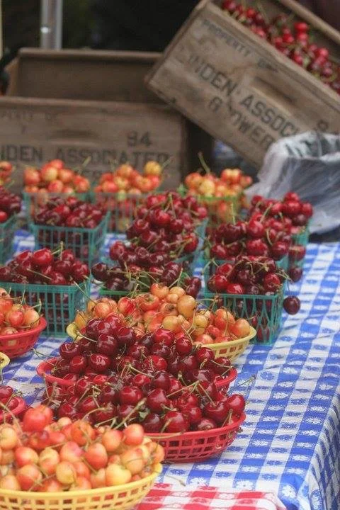 Copy of IMG_0062.JPG