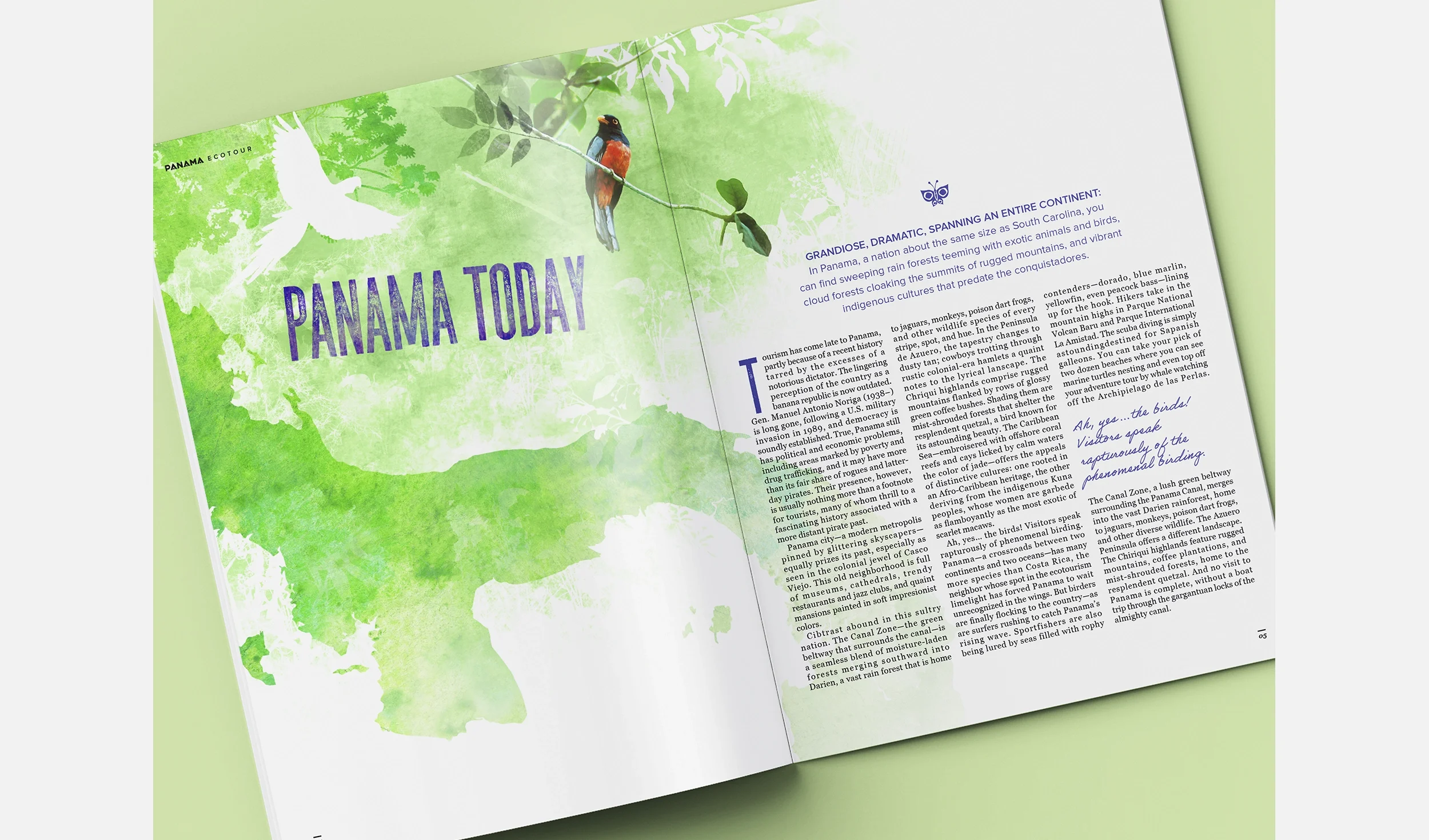 panama_brochure_Crop.webp