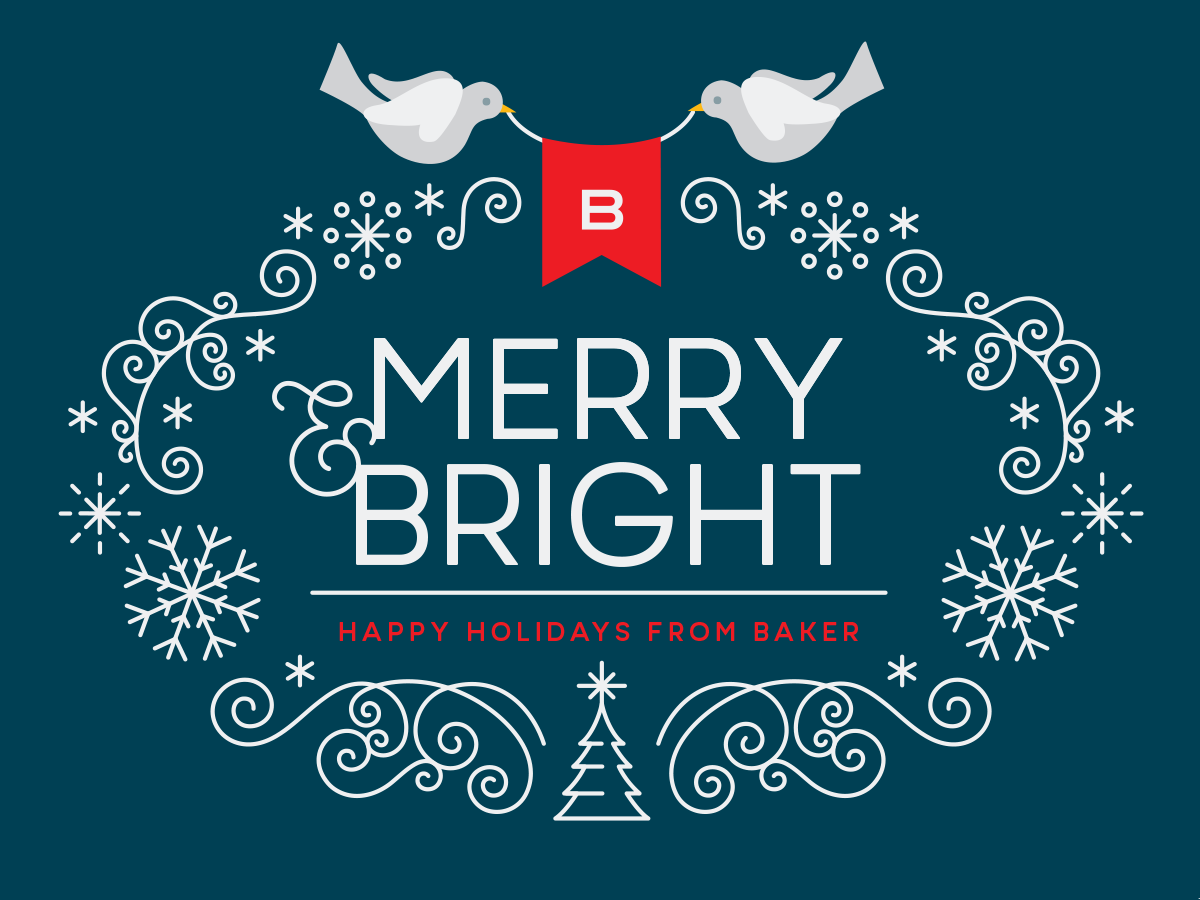 thumbnail_BakerHoliday_Dove_4.webp