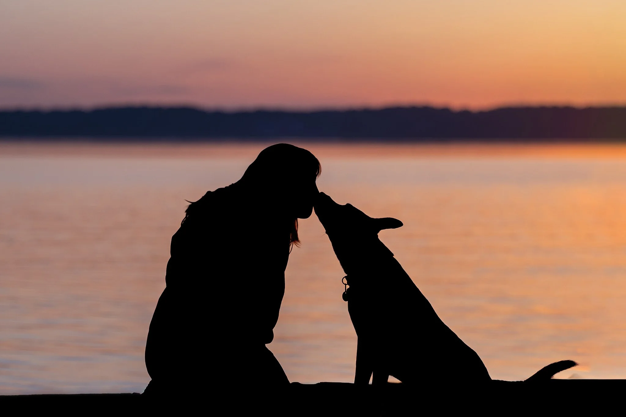 Silhouette of a dog and owner sharing a quiet sunset moment during a Traverse City pet photography session.