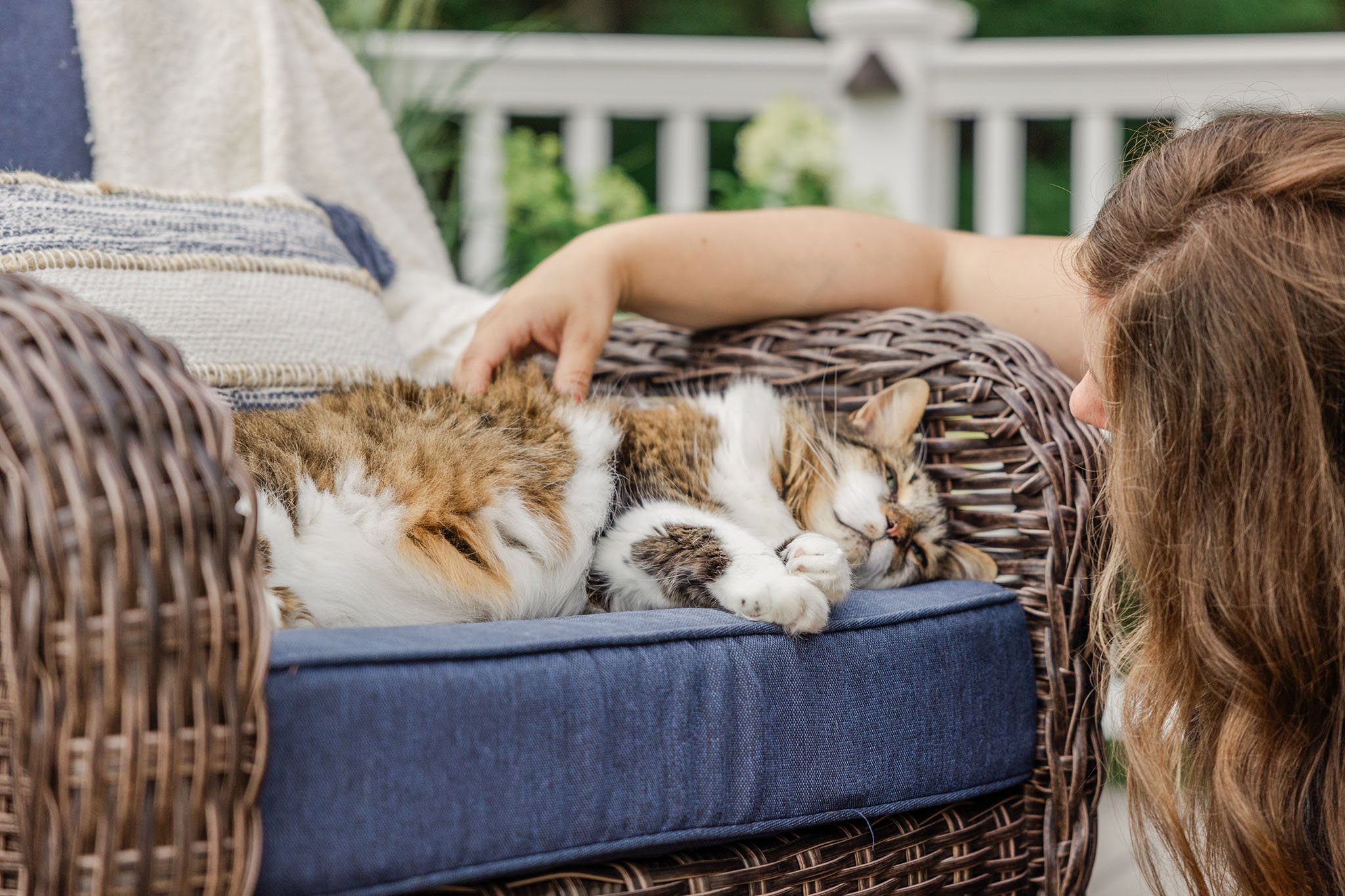 Woman petting cat on outdoor chair, face softly obscured, during Northern MI pet photography session