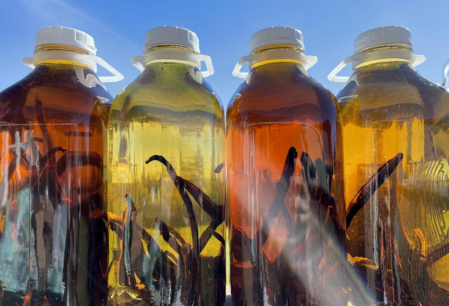 vanilla beans in bottles.jpg