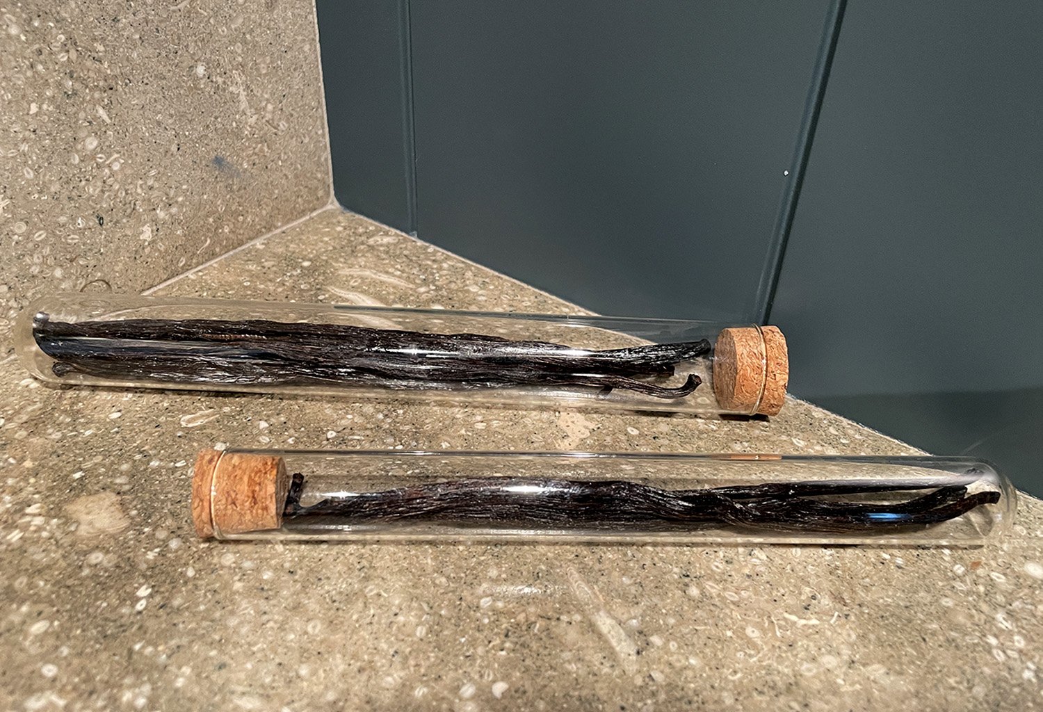 vanilla vines tubes.png