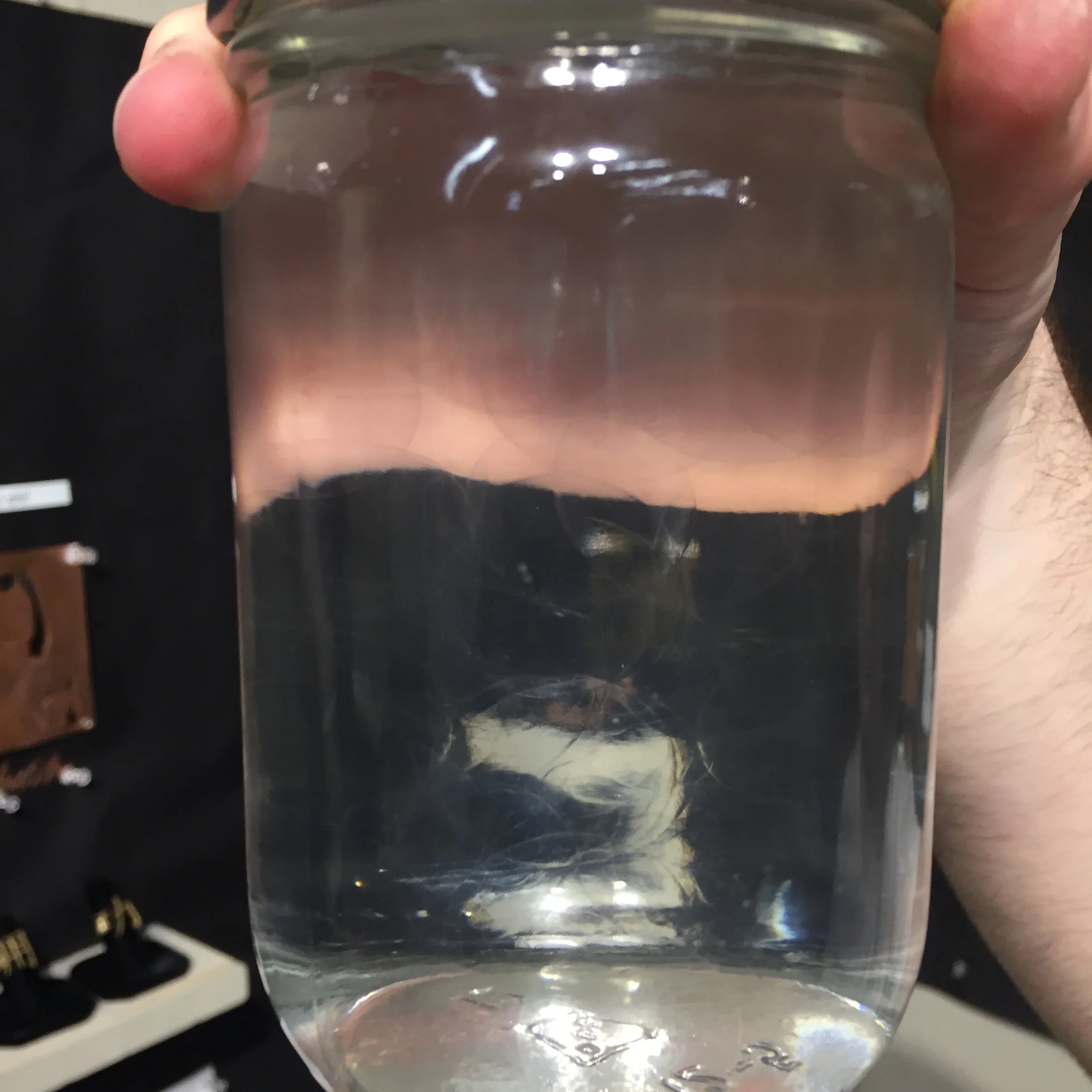 Myles Lack-Zell-disappearing ring1 copy.JPG