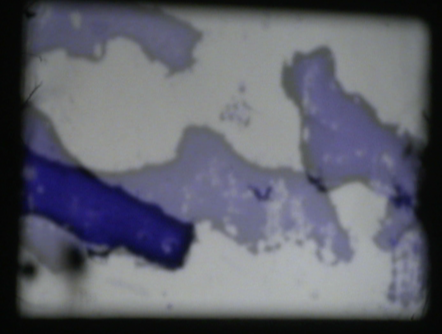 painting.jpg