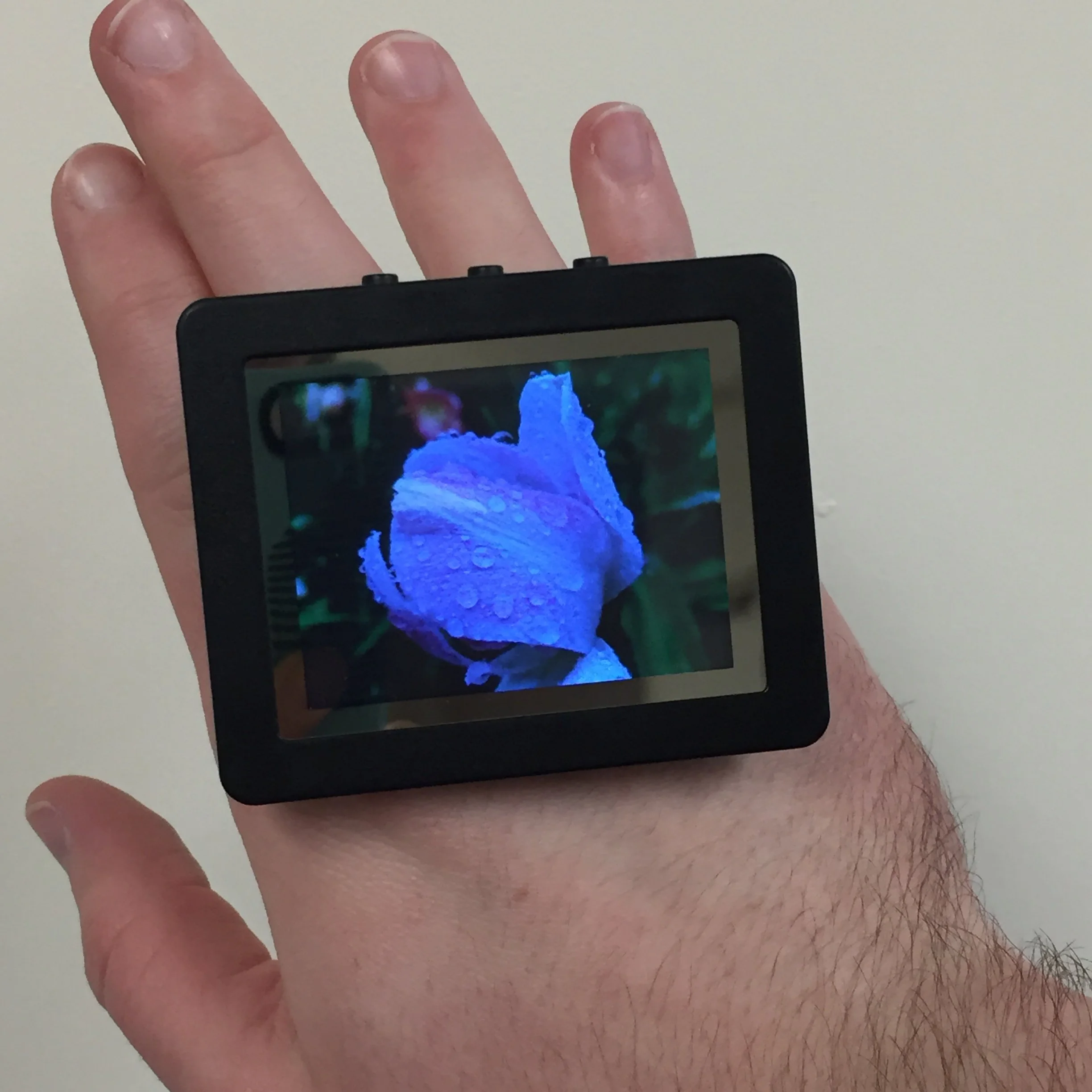 Myles Lack-Zell-waterring3 copy.JPG