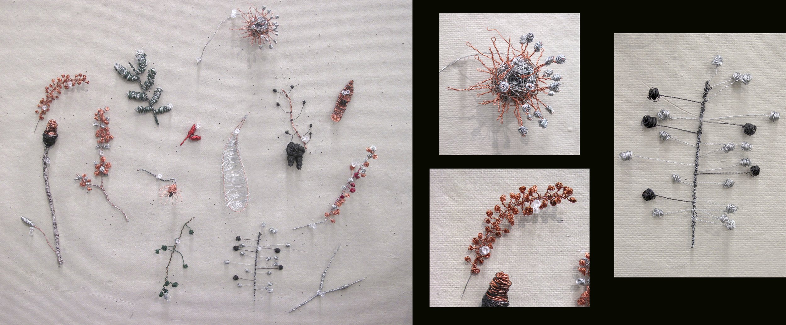 Jessica C-wire nature forms.jpg