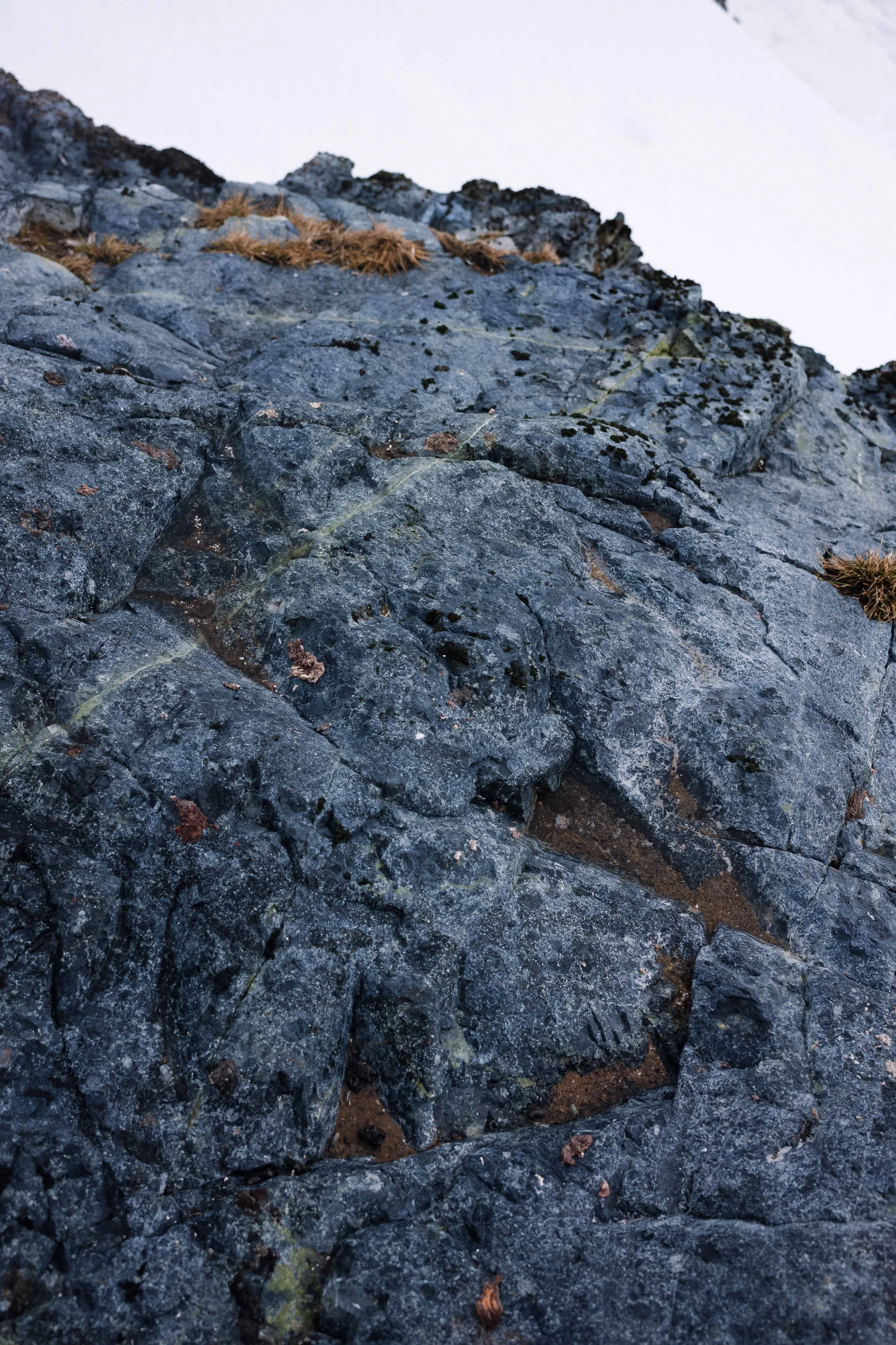 L1005079.JPG