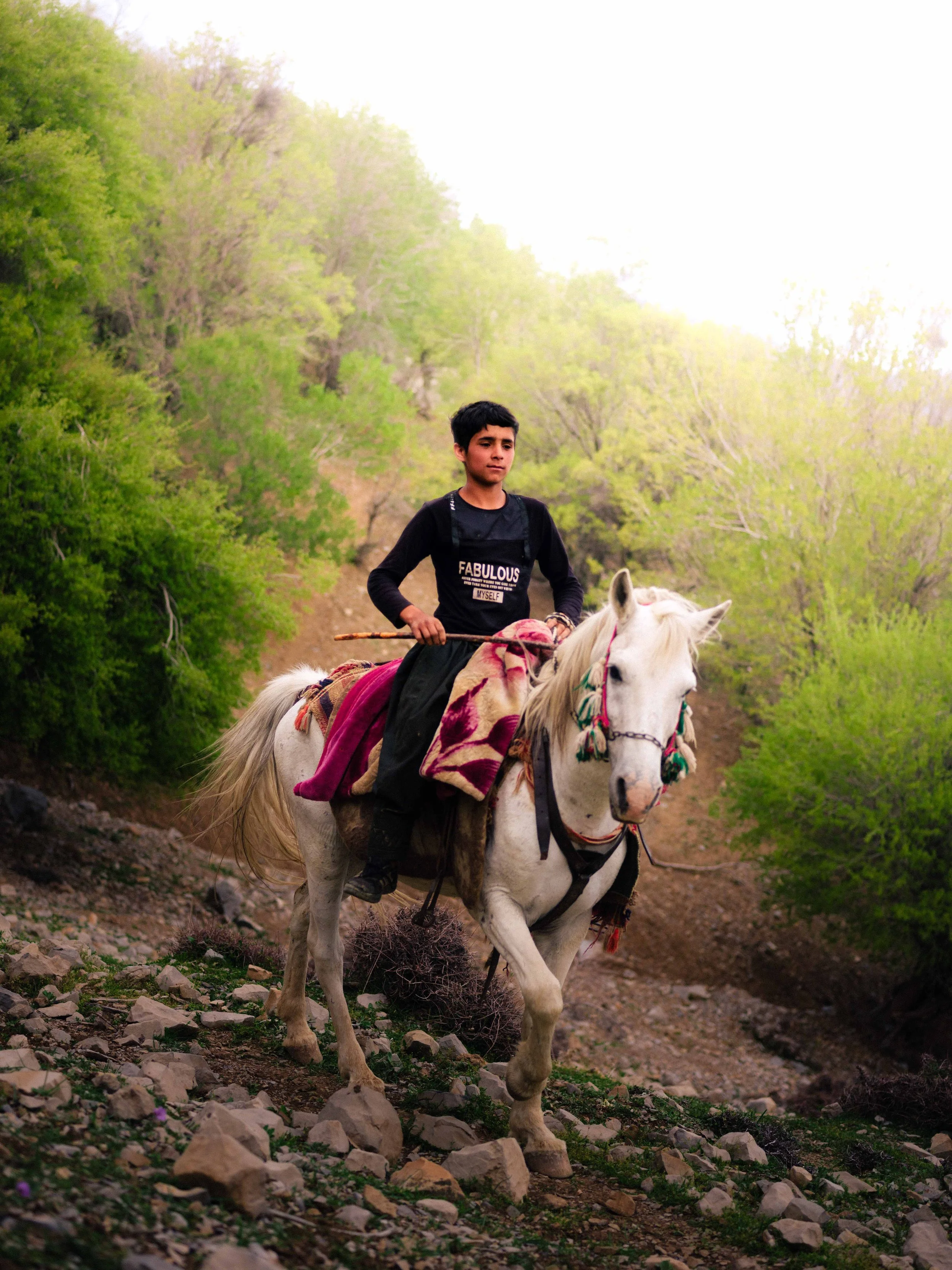 IMG_0674 2 11.58.33.JPG