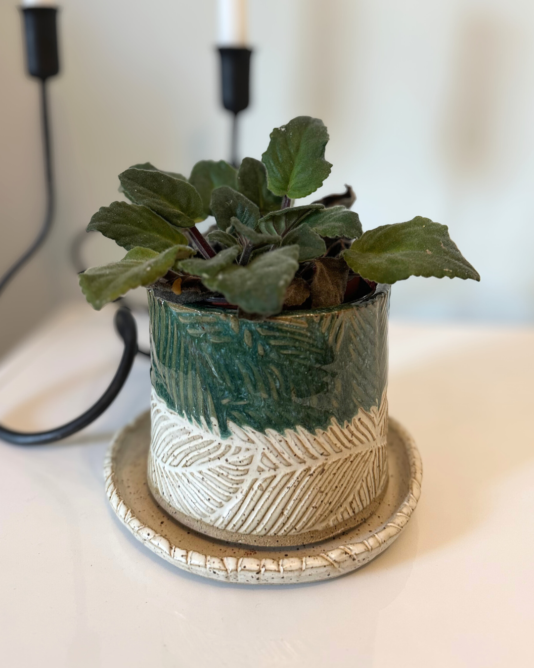 Make a Planter with Kathryn