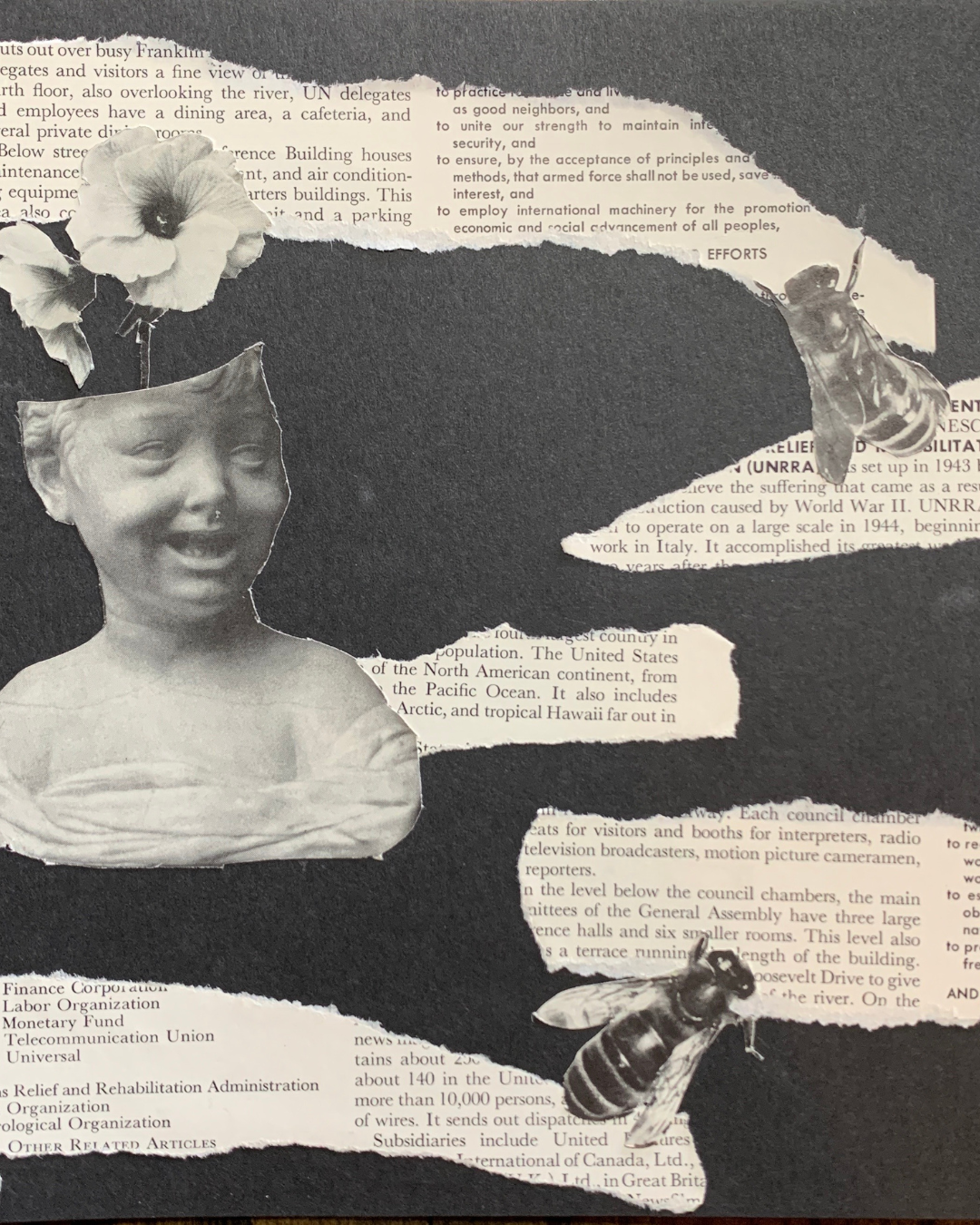 collage 2.png