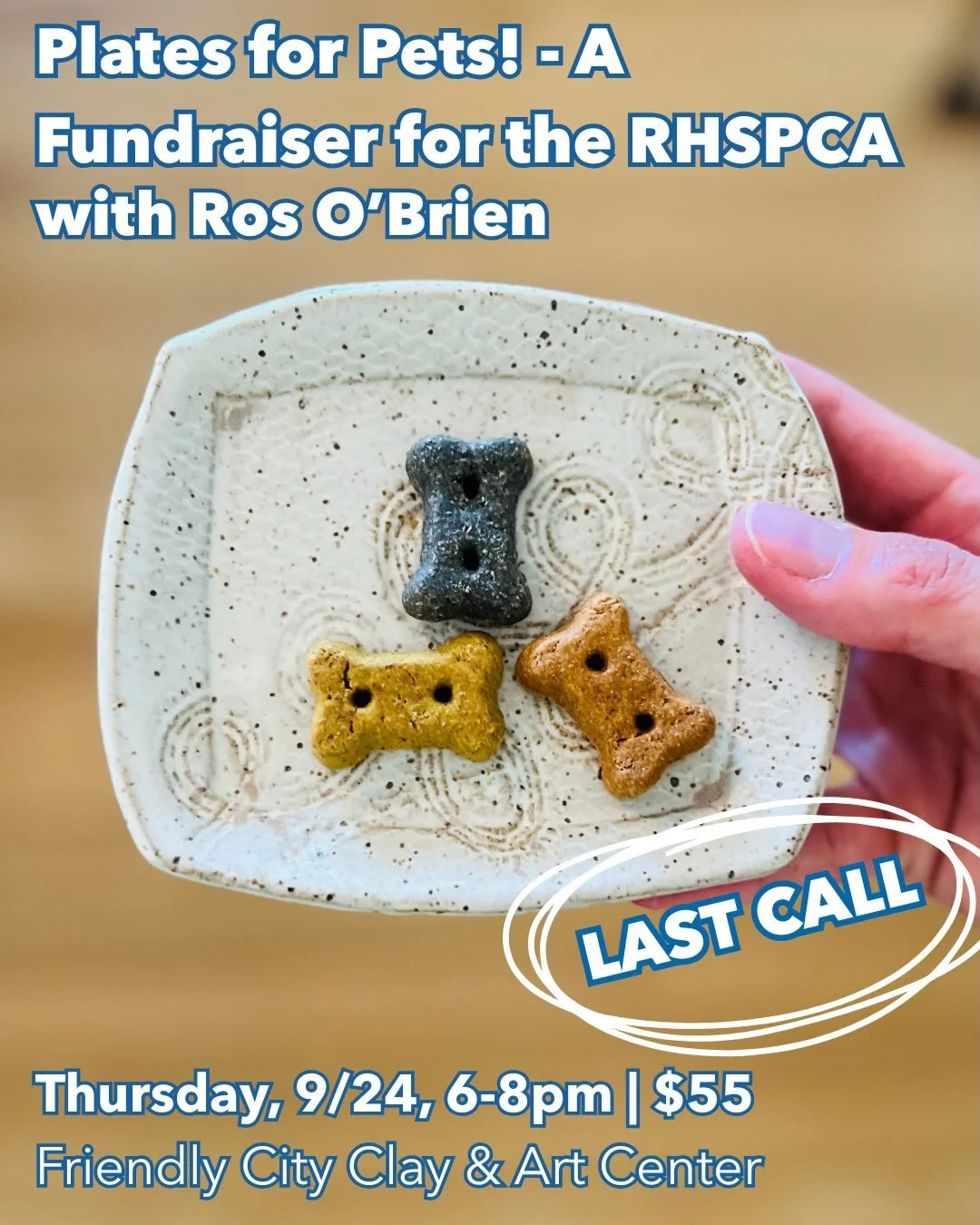 Whether you want to mold something special for your pet, piece together a masterpiece, or get the kids involved in some creative fun, these classes are going to fit your needs! They won&rsquo;t be here much longer, grab your spot today!
✨
#harrisonbu