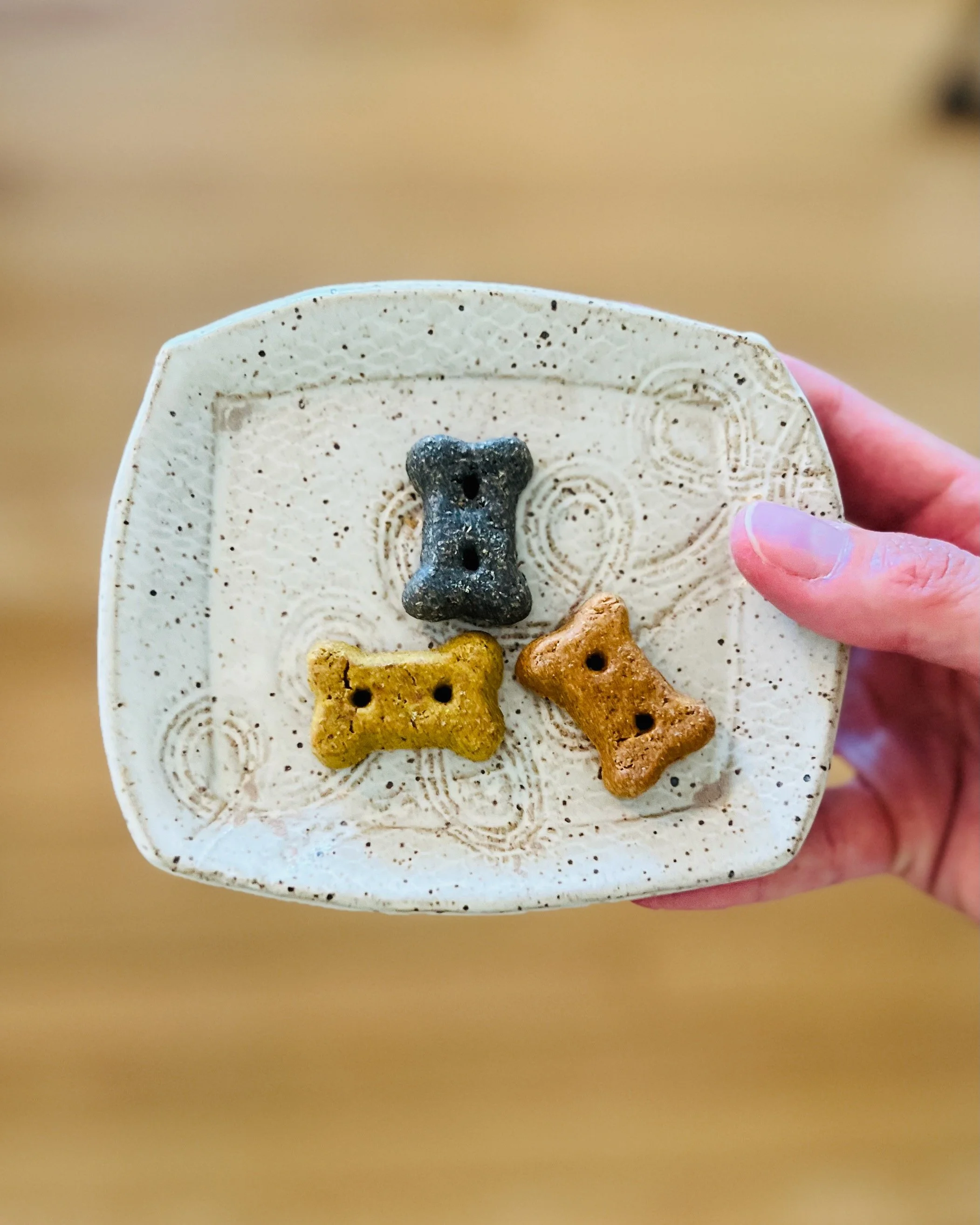 Plates for Pets! - A Fundraiser for the RHSPCA