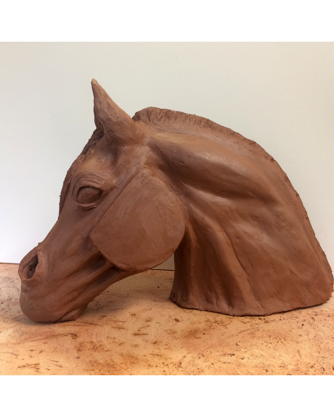 Coiled Forms - Functional or Fanciful with Janly Jaggard