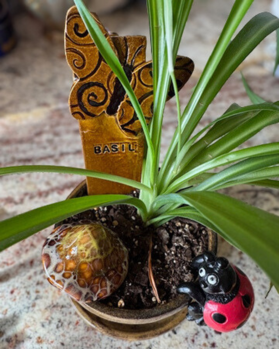 Julie - Garden 3.png