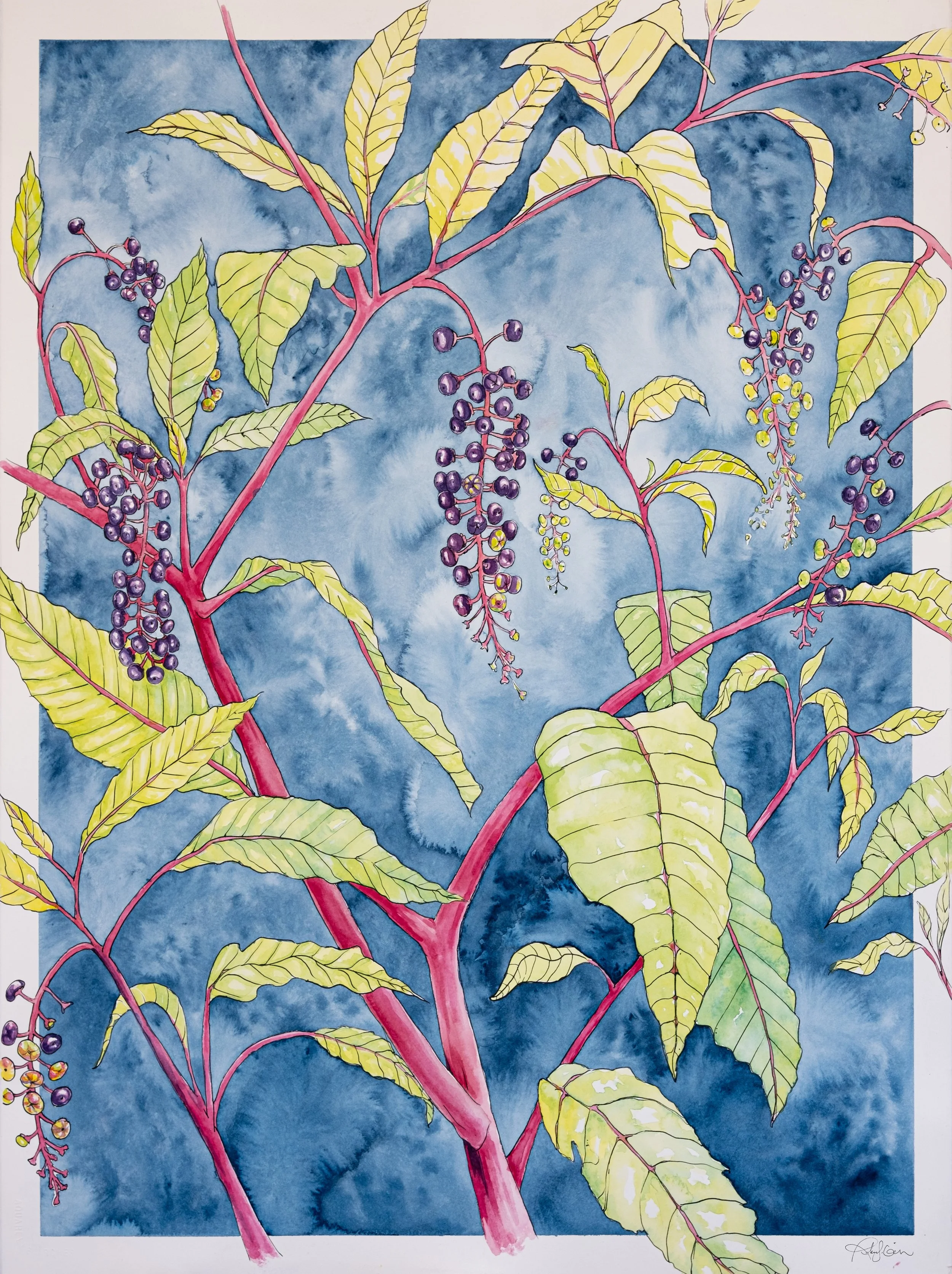 Gish-Pokeweed-22x30.jpg