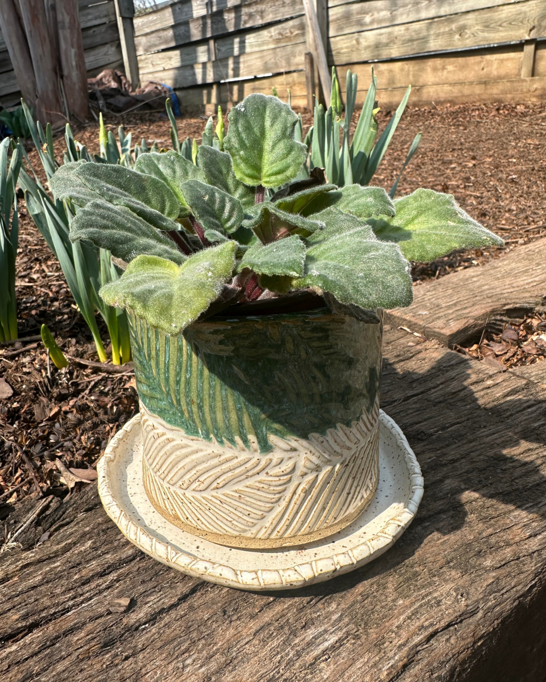 Kathryn - Planter 2.png