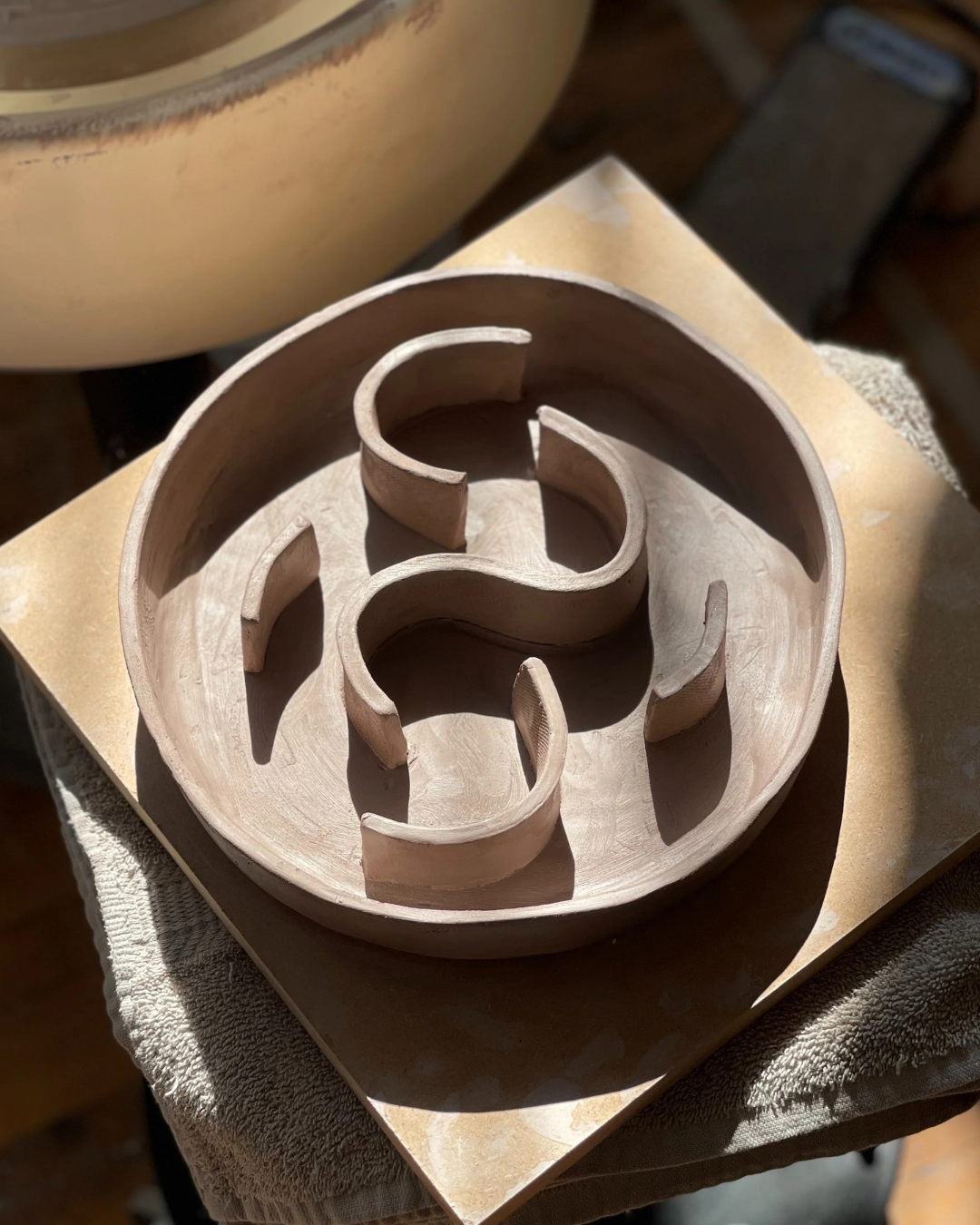 Make a Slow Feeder for your Pet with Des!