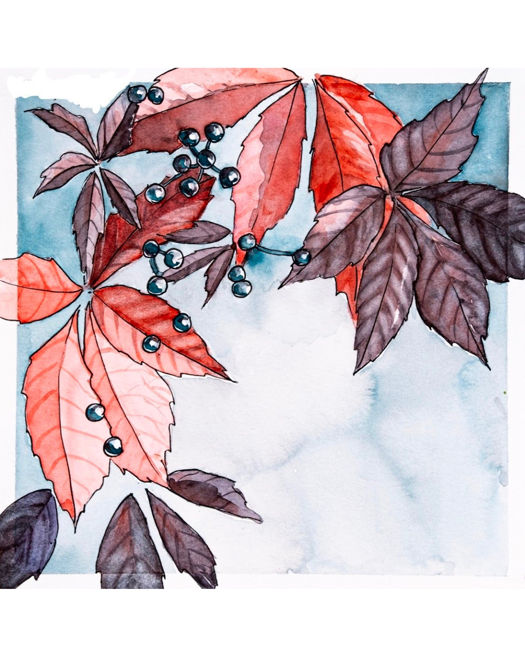Rebecca native plants 2.png