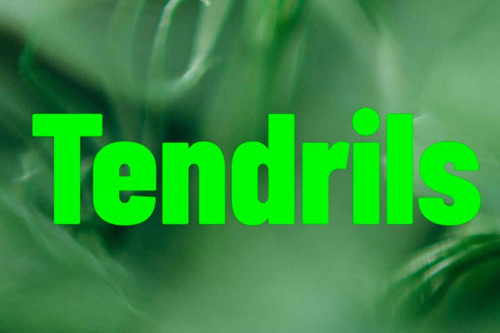 Tendrils Premier Issue