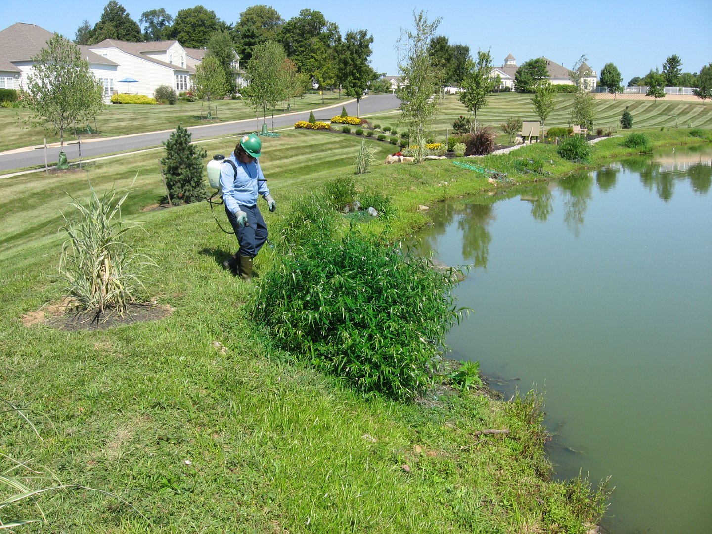 Commercial Algae & Weed Control - Aquatic Control